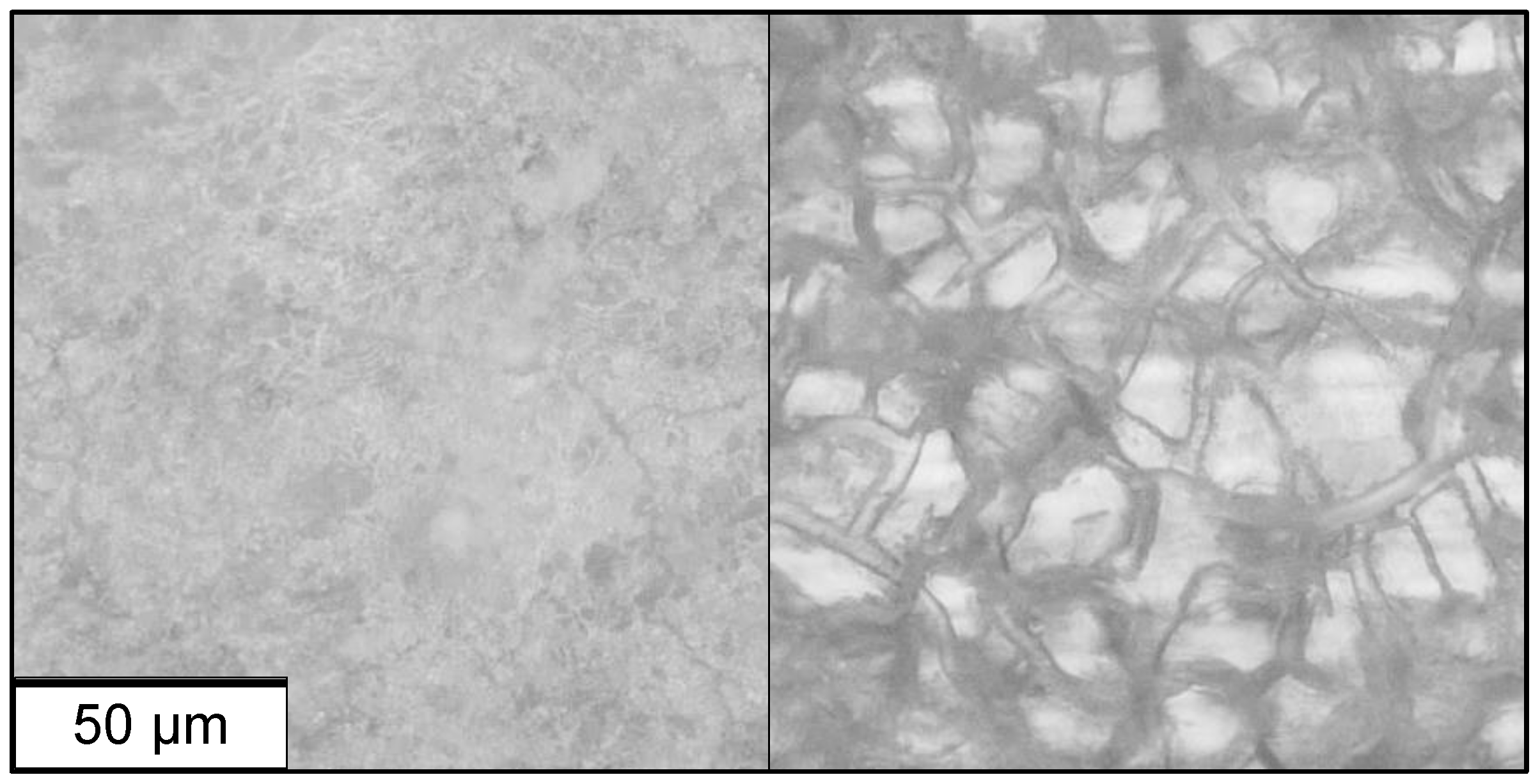 Coatings 13 00656 g006