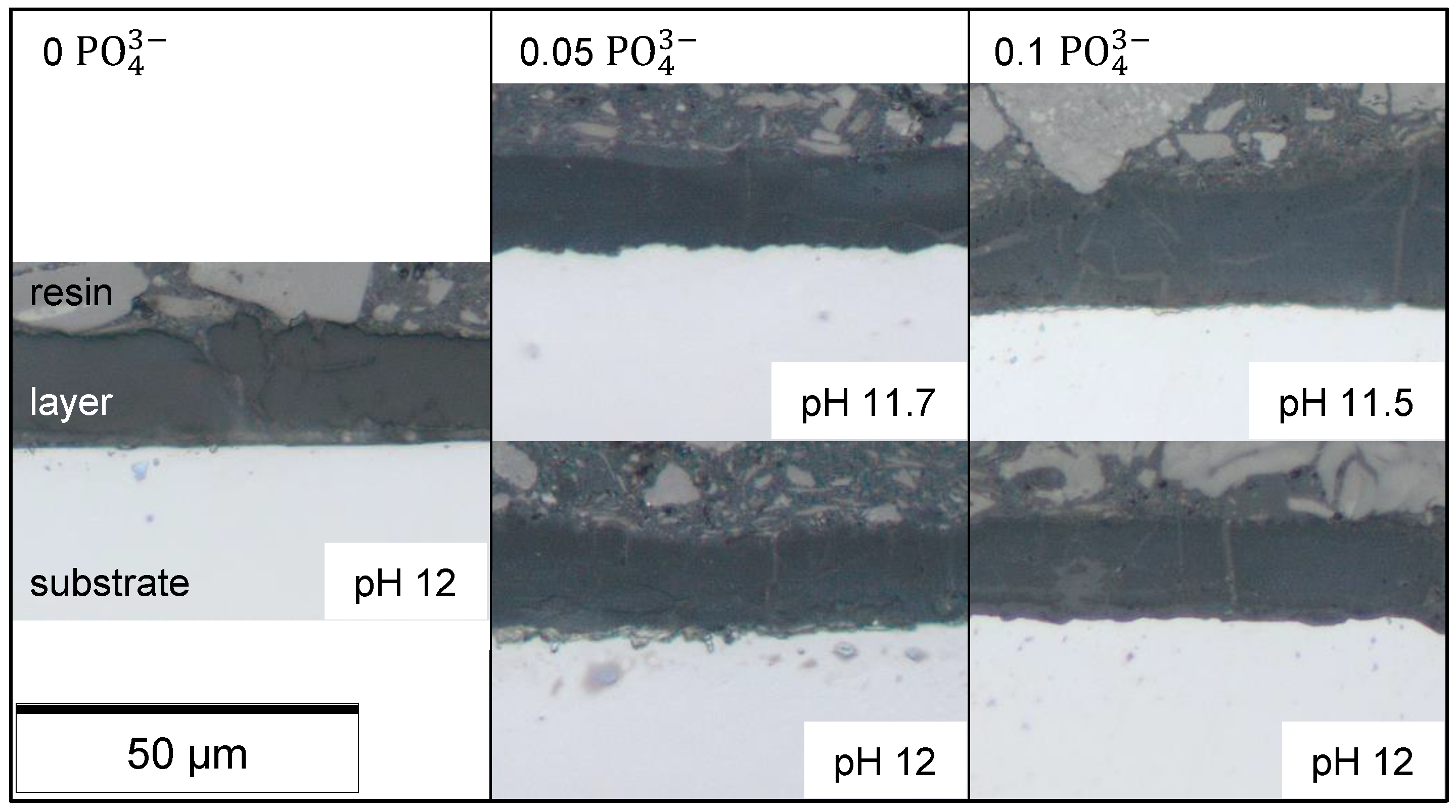 Coatings 13 00656 g008