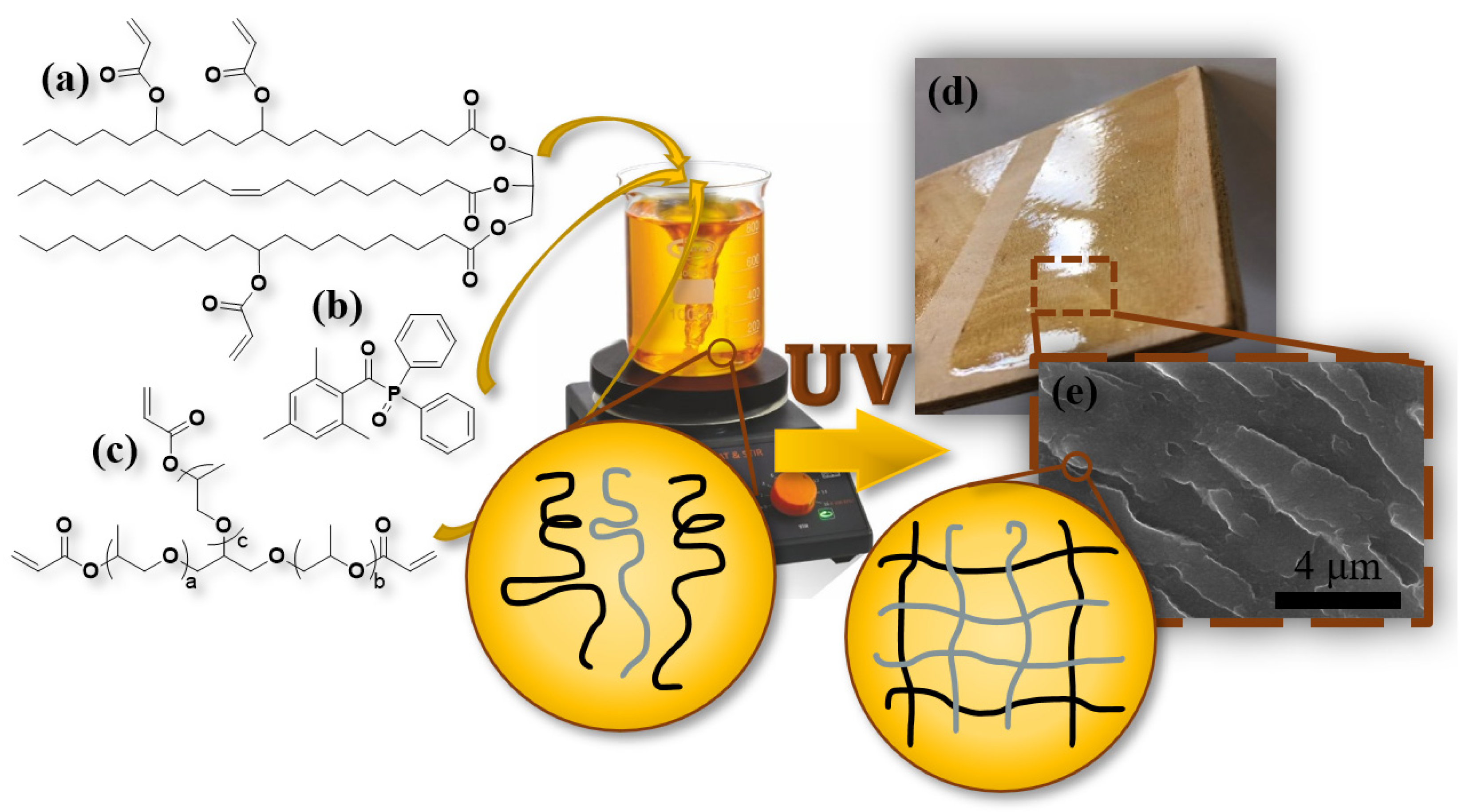 Coatings 13 00657 g001