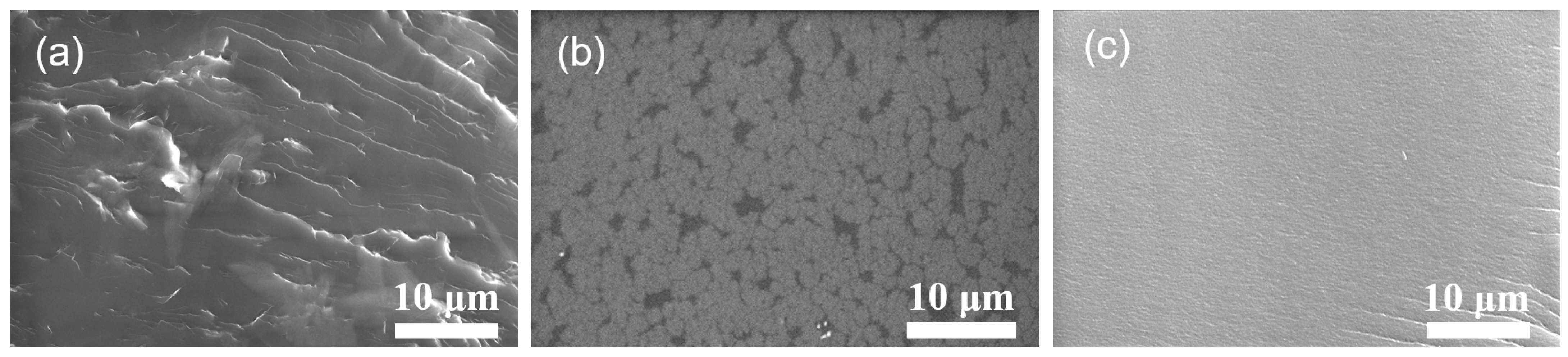 Coatings 13 00657 g003