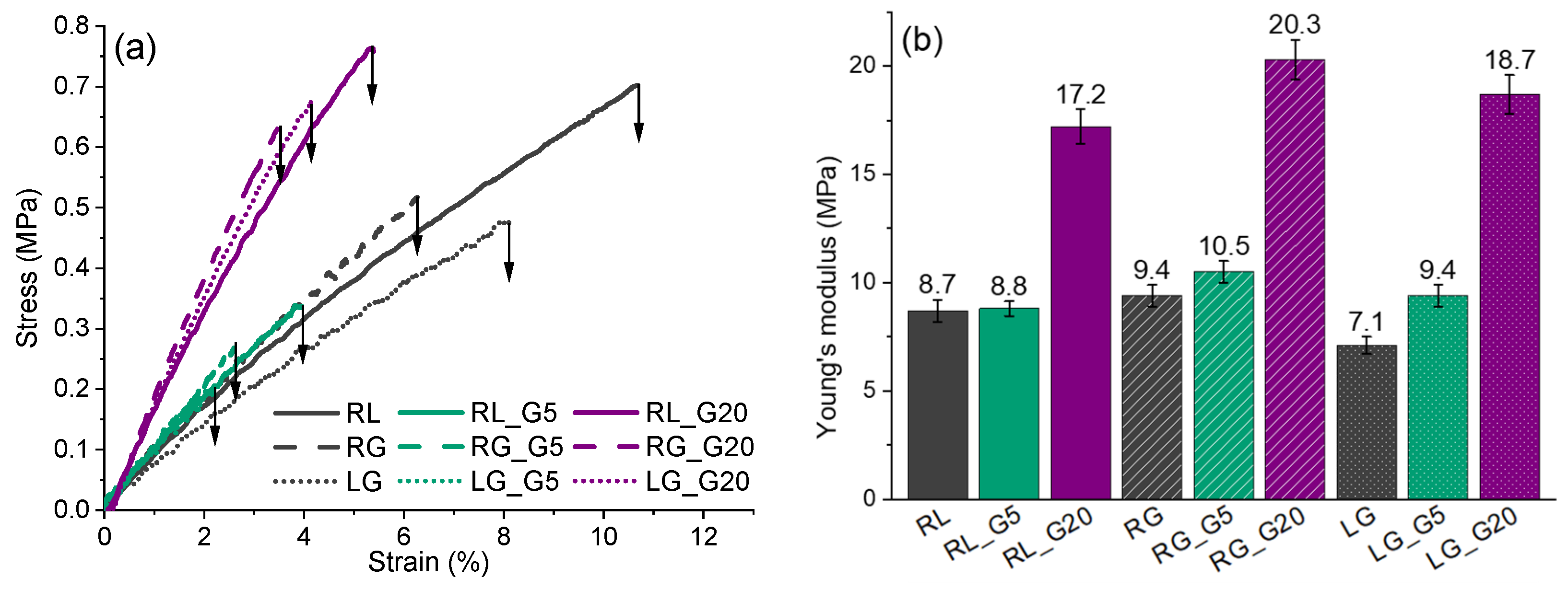 Coatings 13 00657 g005