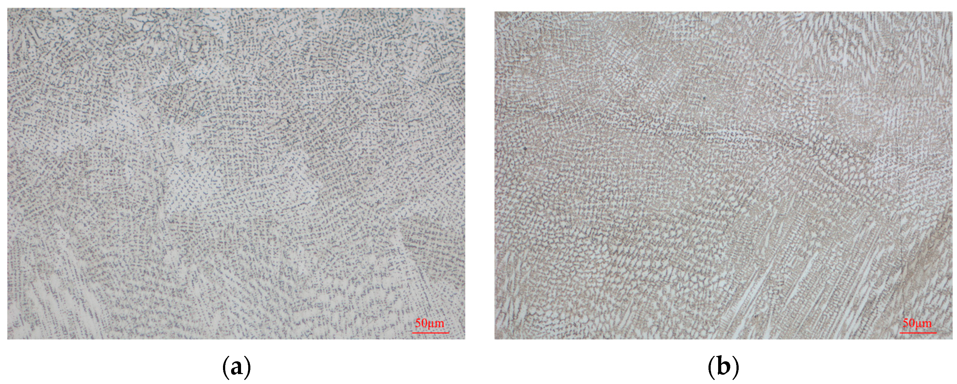 Coatings 13 00659 g007 Coatings 13 00659 g007