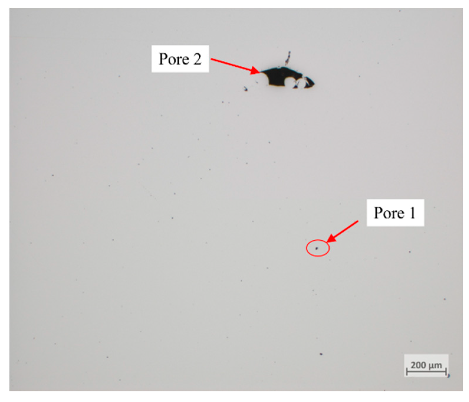 Coatings 13 00659 g009 Coatings 13 00659 g009