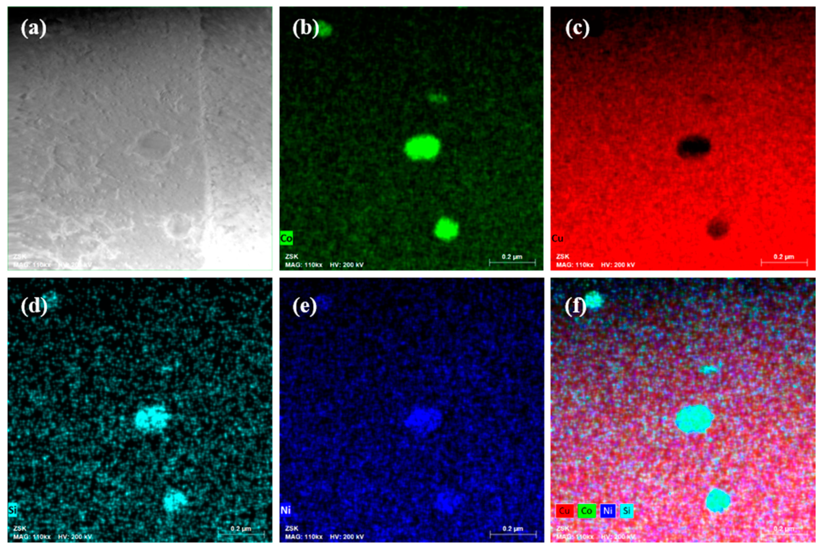 Coatings 13 00660 g006