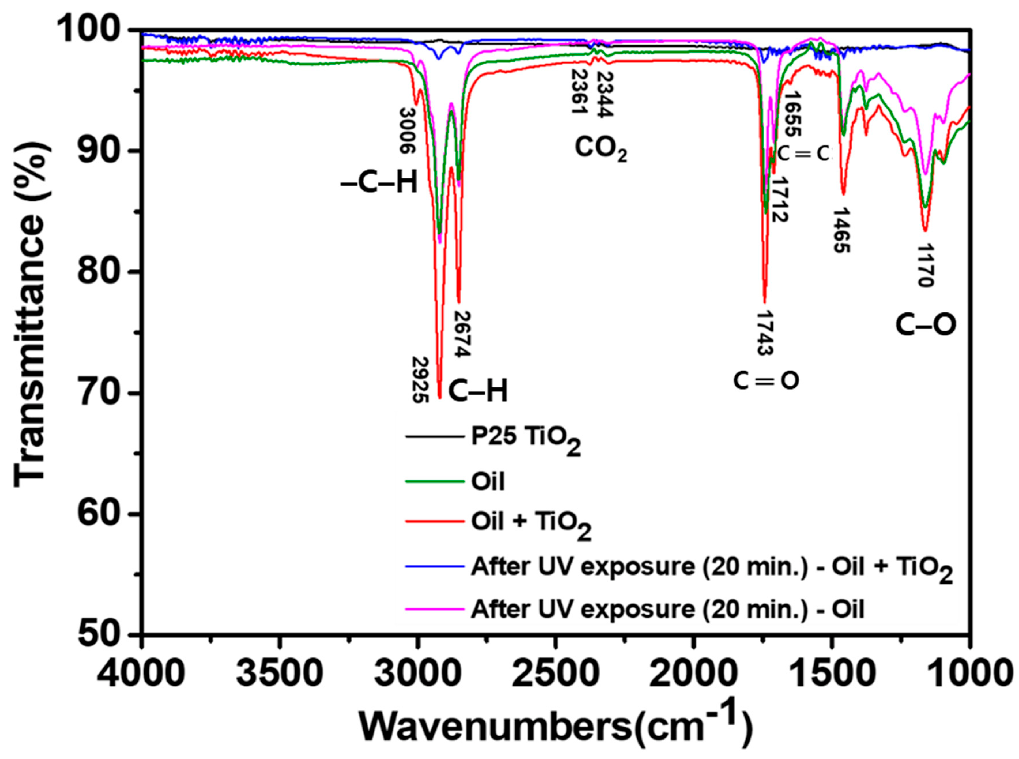 Coatings 13 00661 g009