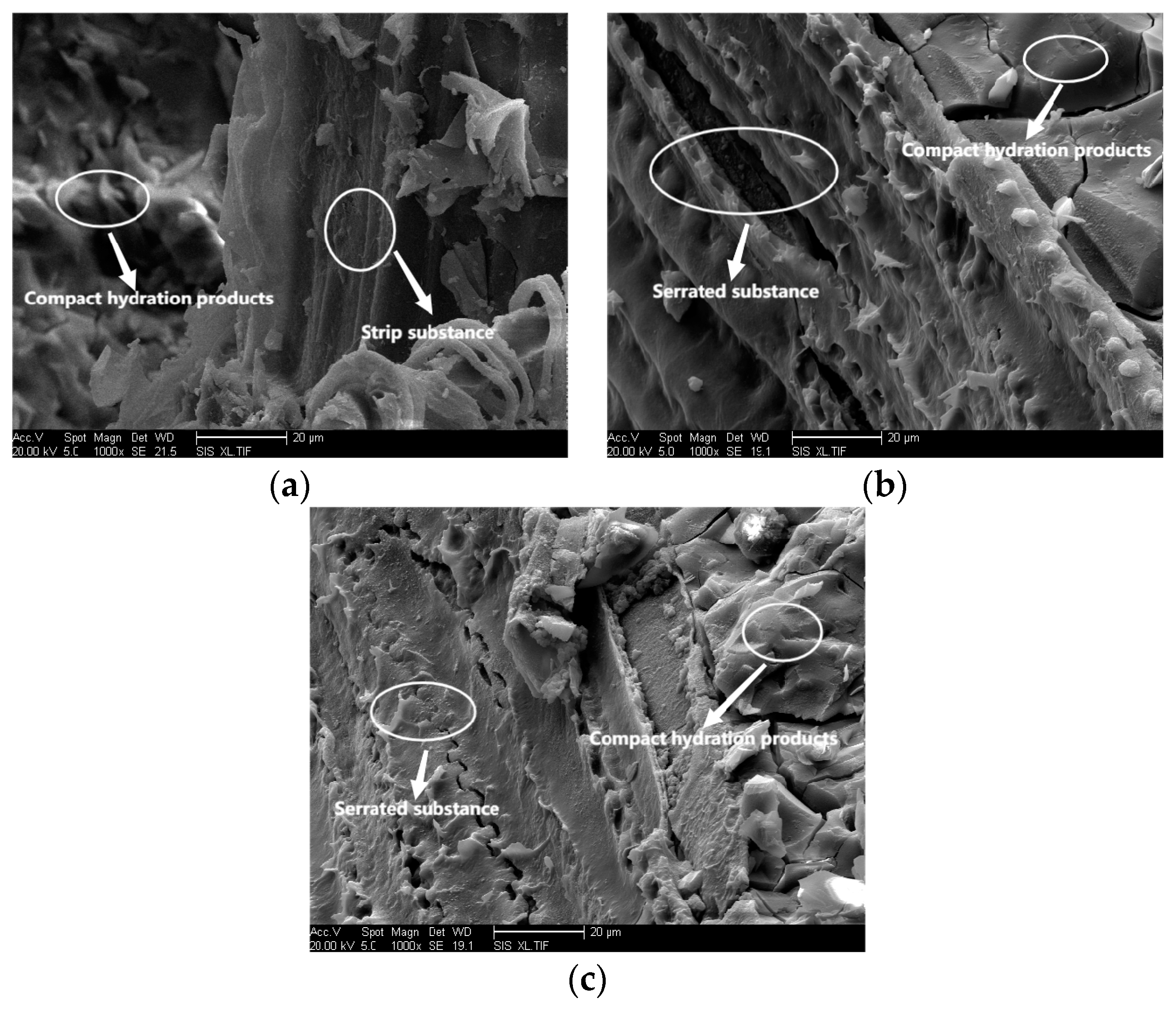 Coatings 13 00664 g013 Coatings 13 00664 g013
