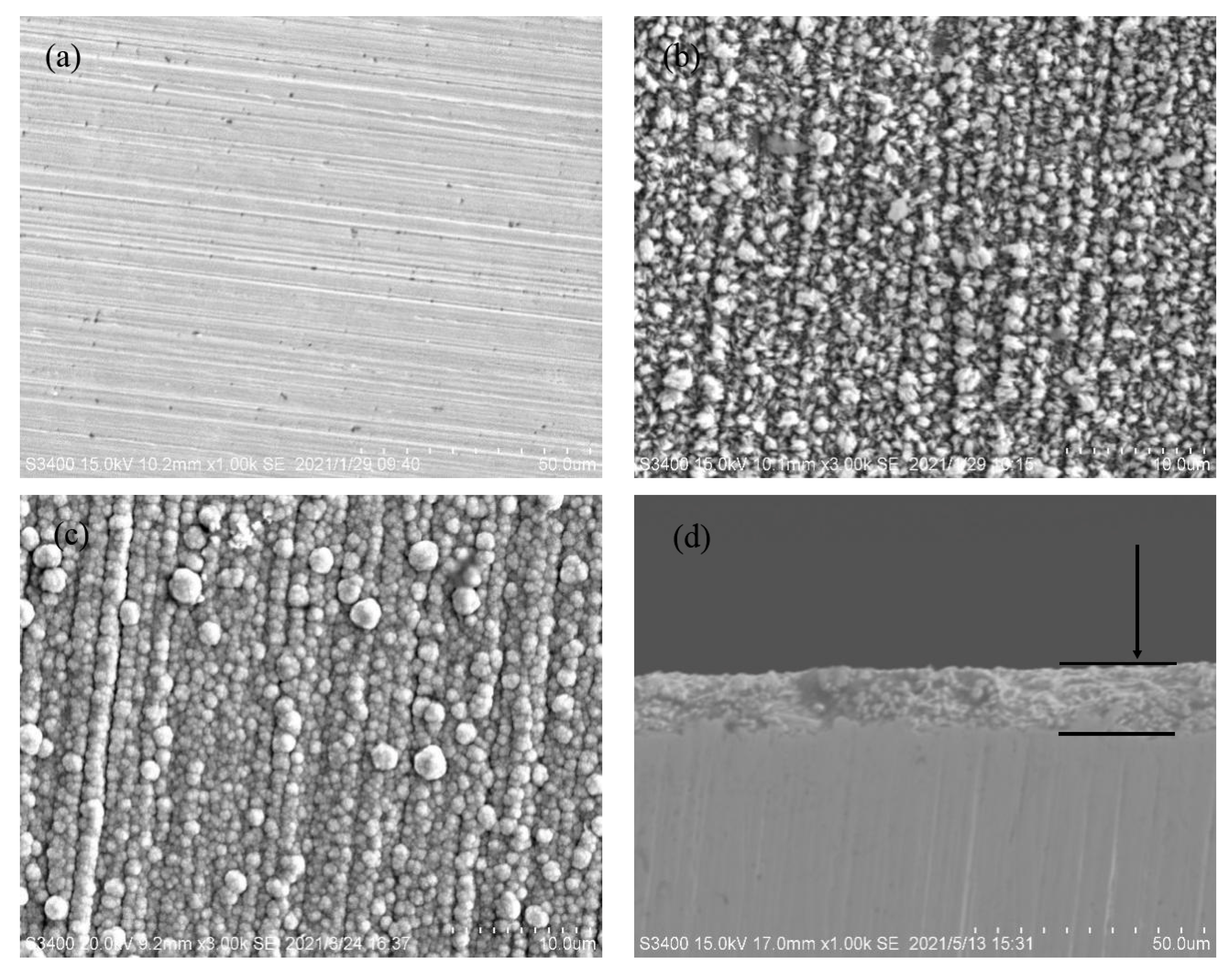 Coatings 13 00665 g009