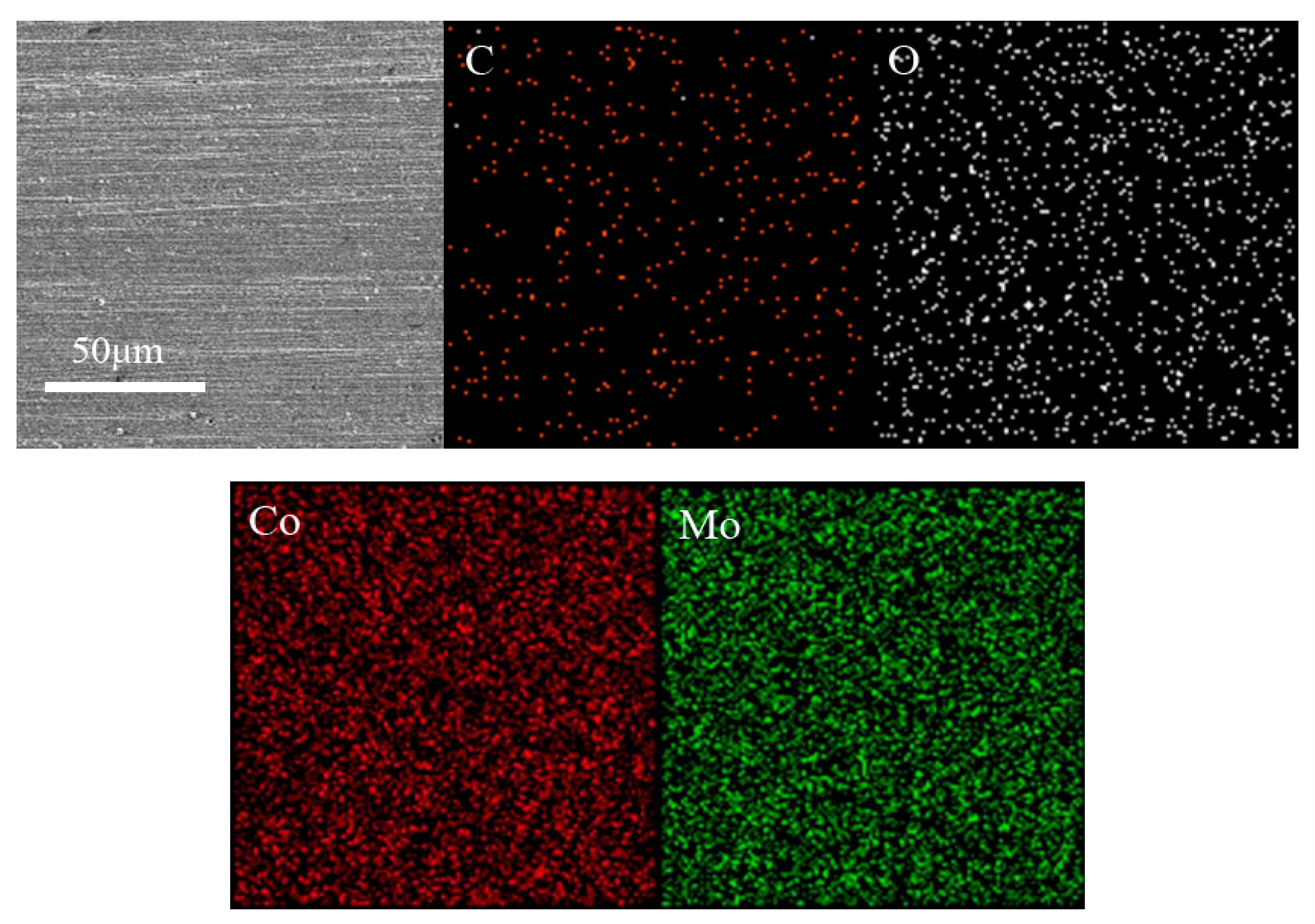 Coatings 13 00665 g010