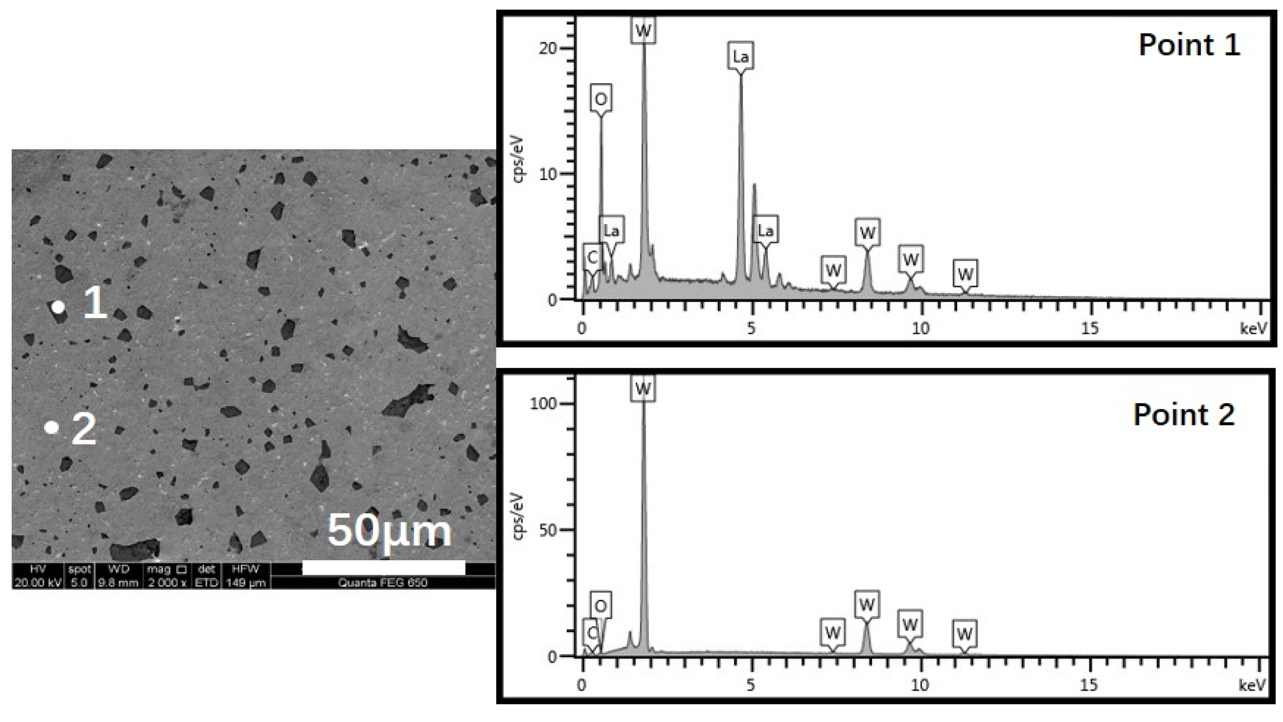 Coatings 13 00666 g004