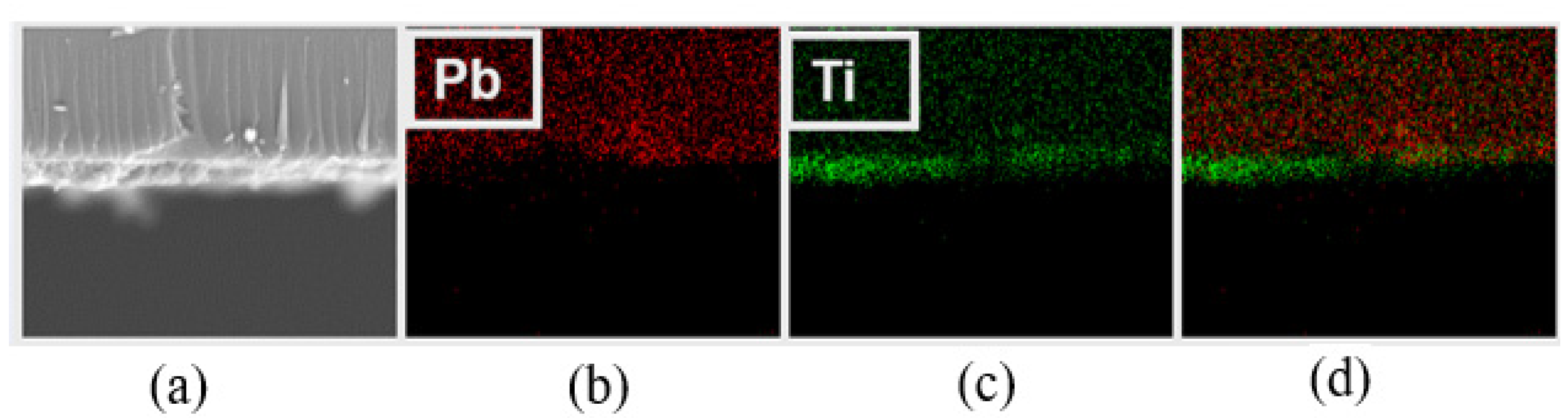 Coatings 13 00669 g004