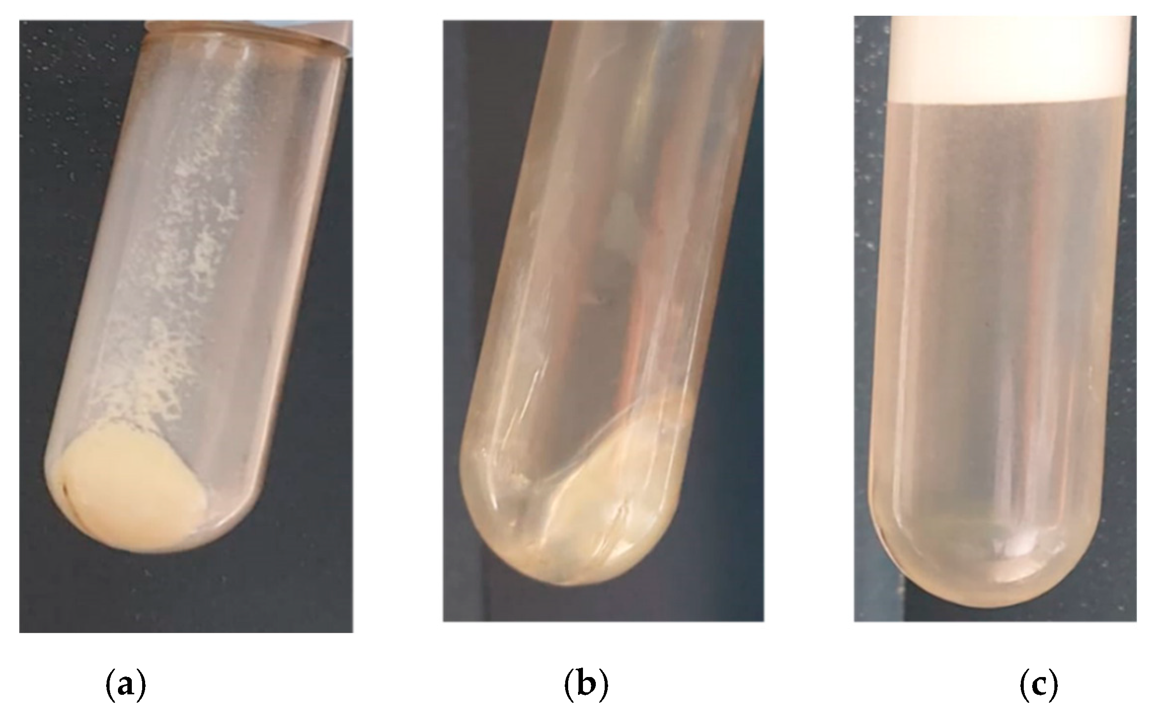 Coatings 13 00671 g003