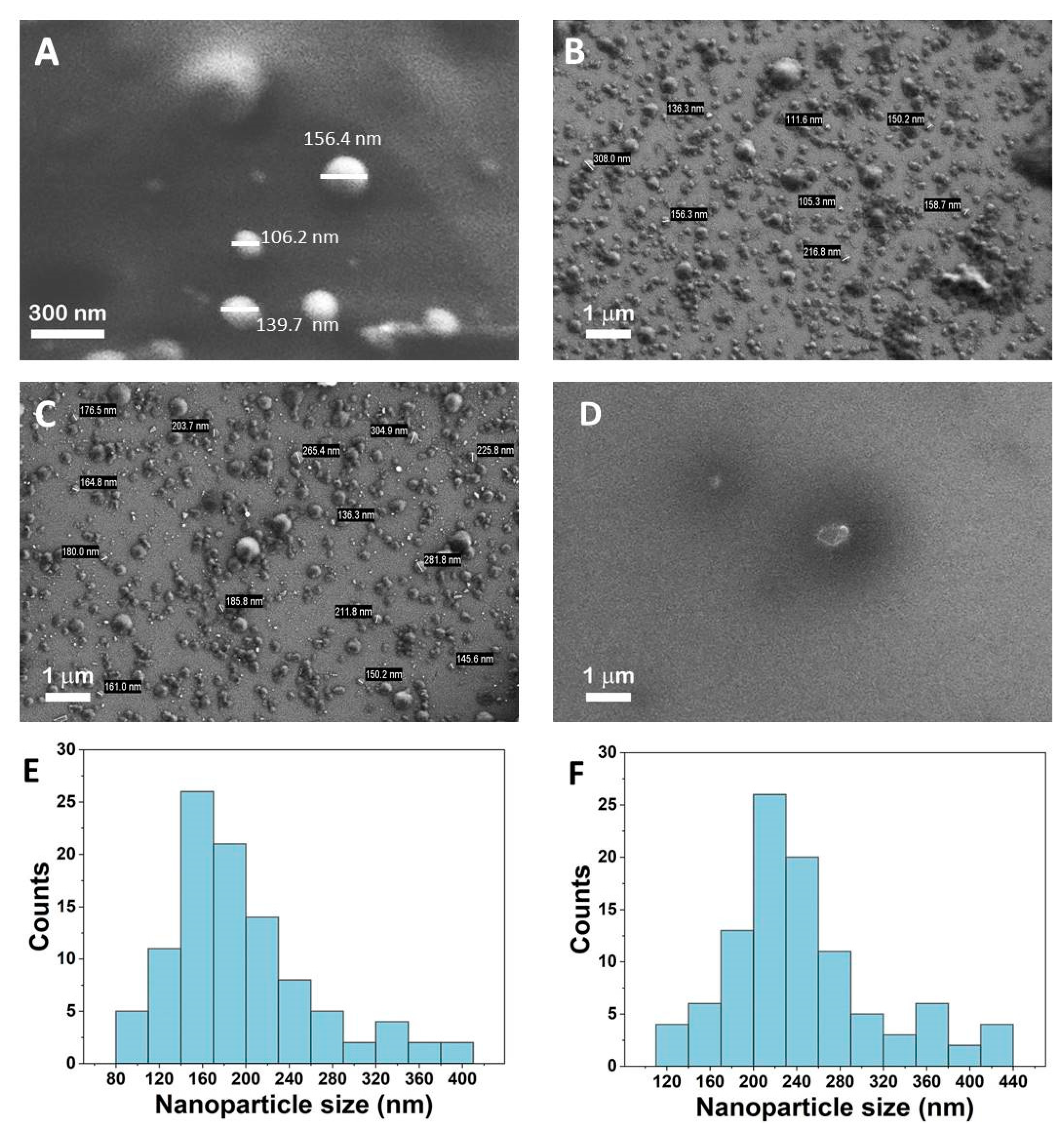 Coatings 13 00671 g005