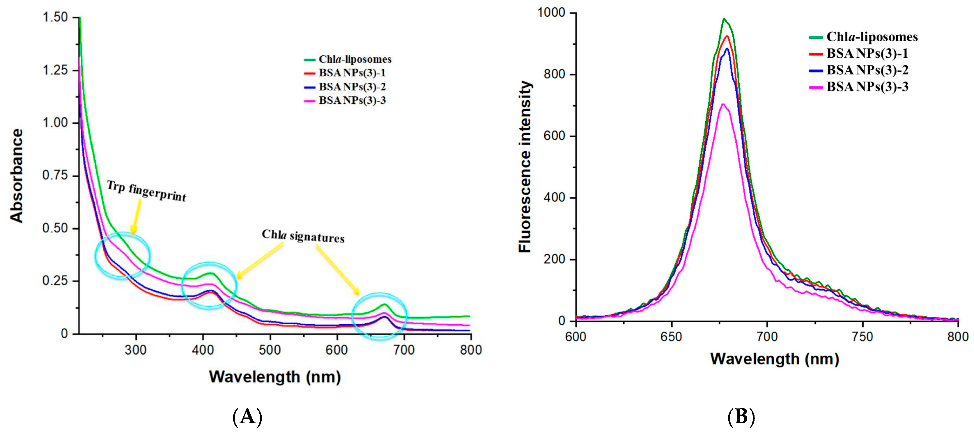 Coatings 13 00671 g006