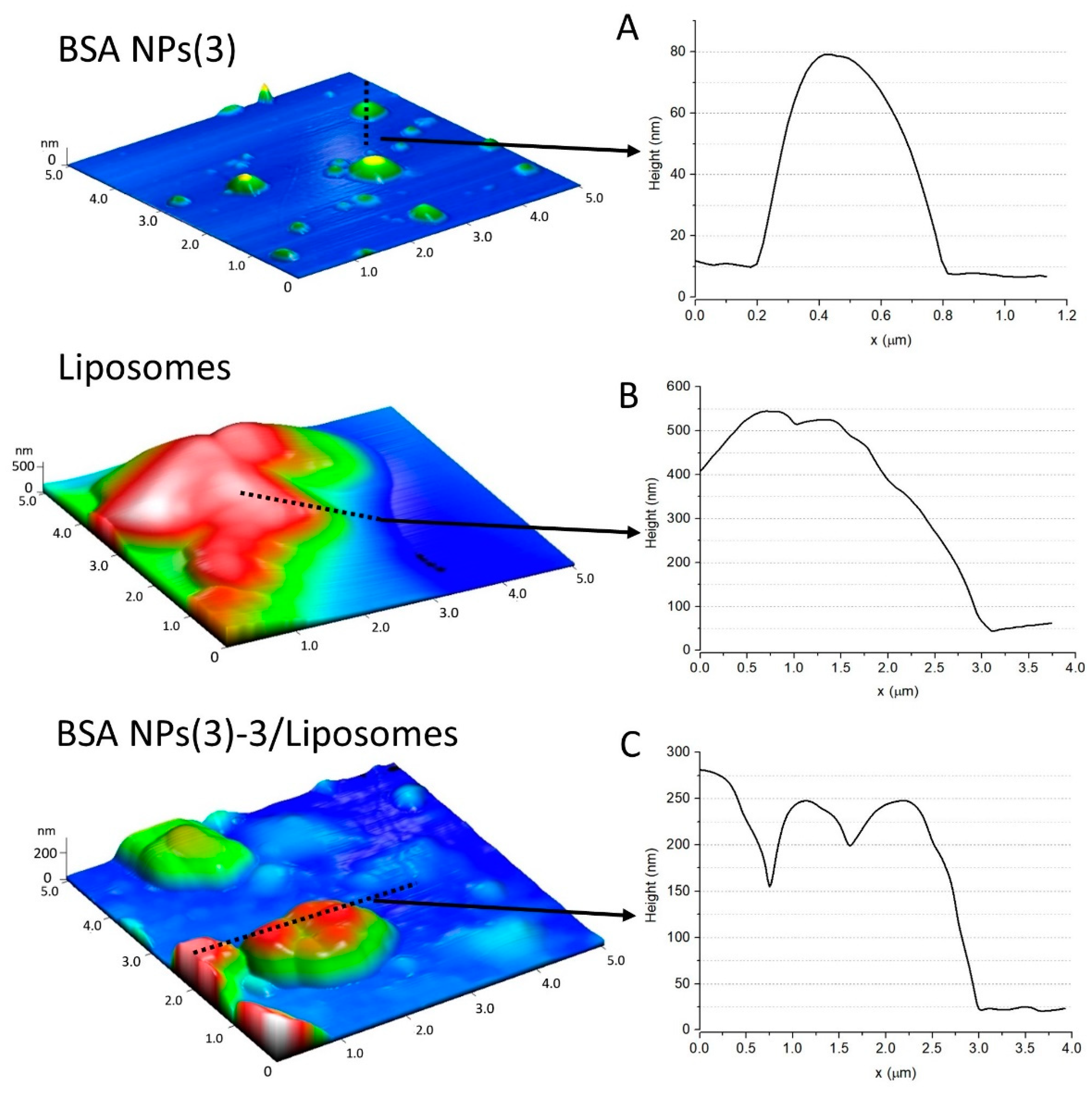 Coatings 13 00671 g007