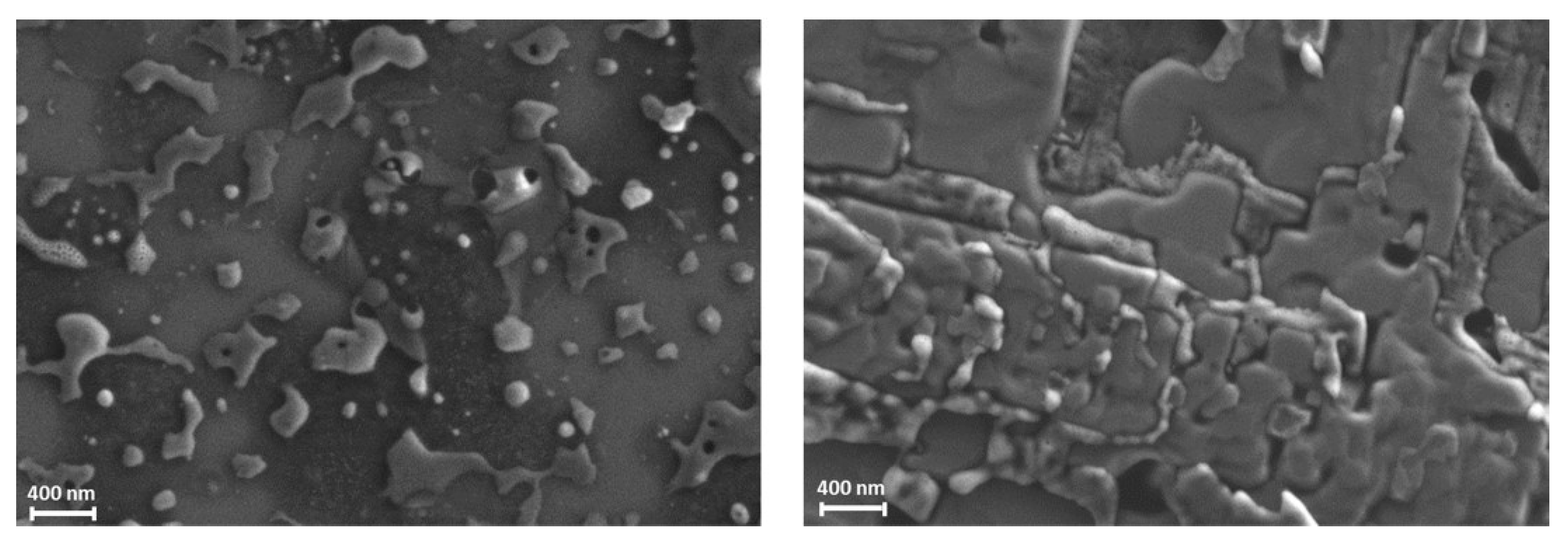 Coatings 13 00671 g008