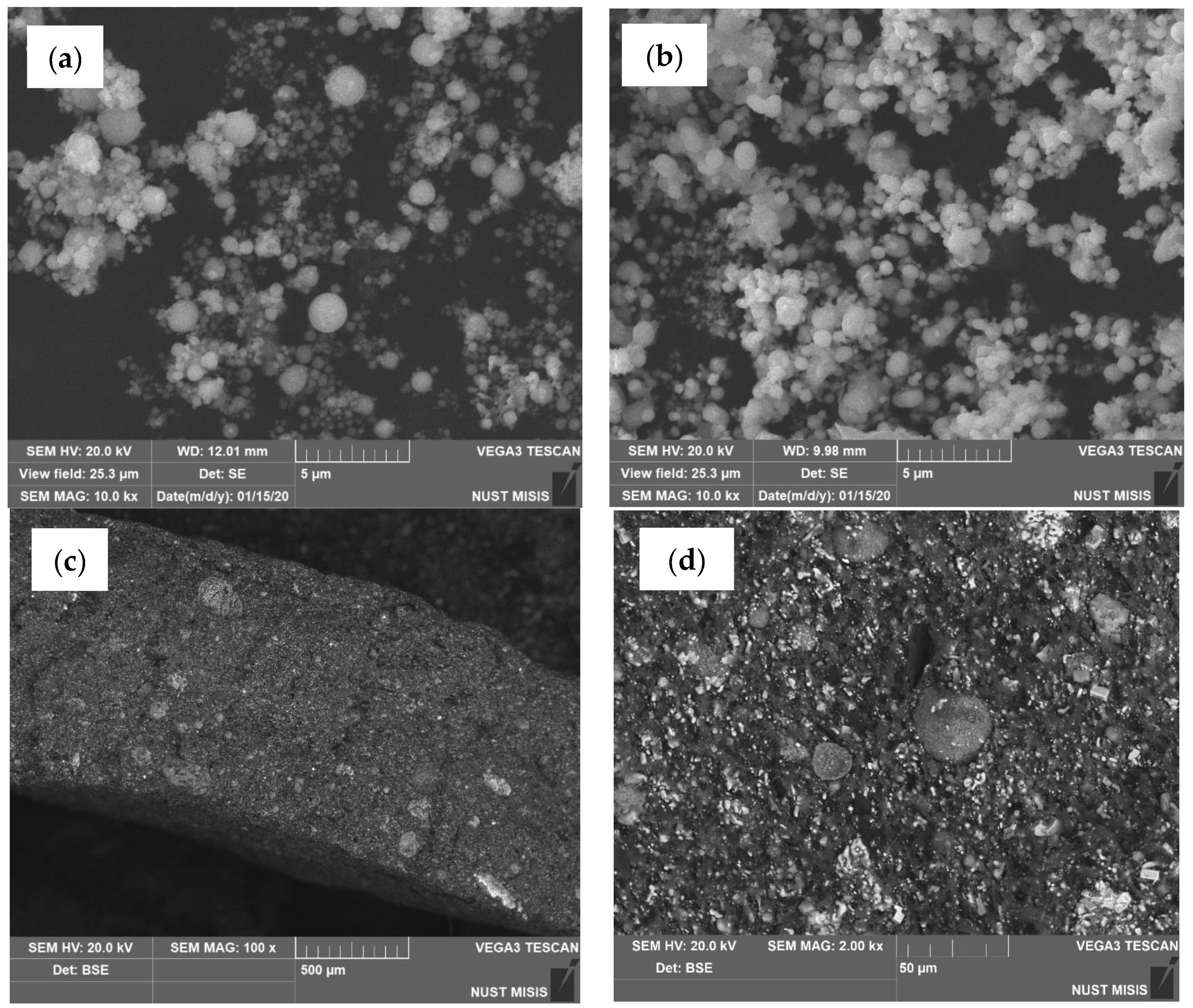 Coatings 13 00672 g002