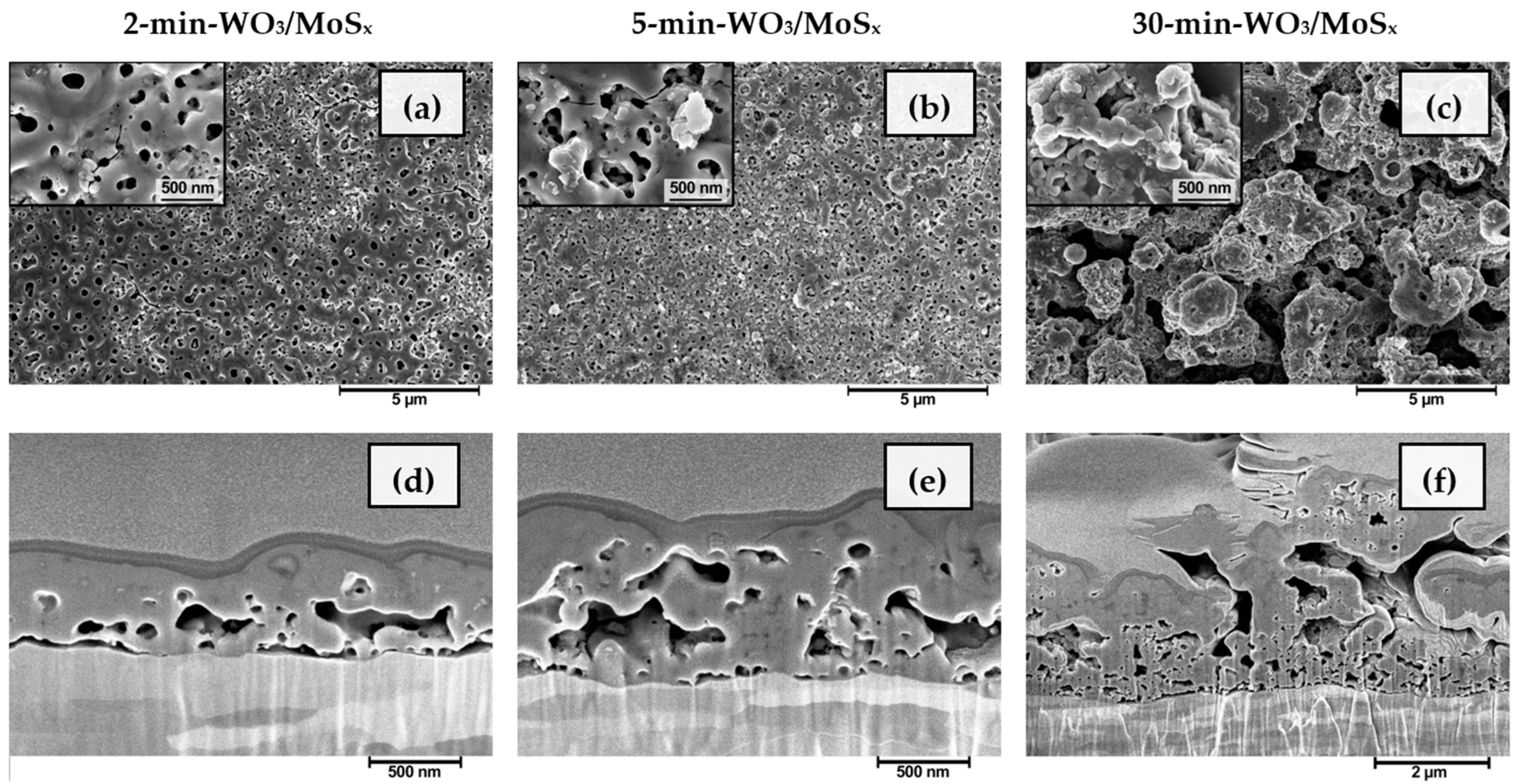 Coatings 13 00673 g002 Coatings 13 00673 g002