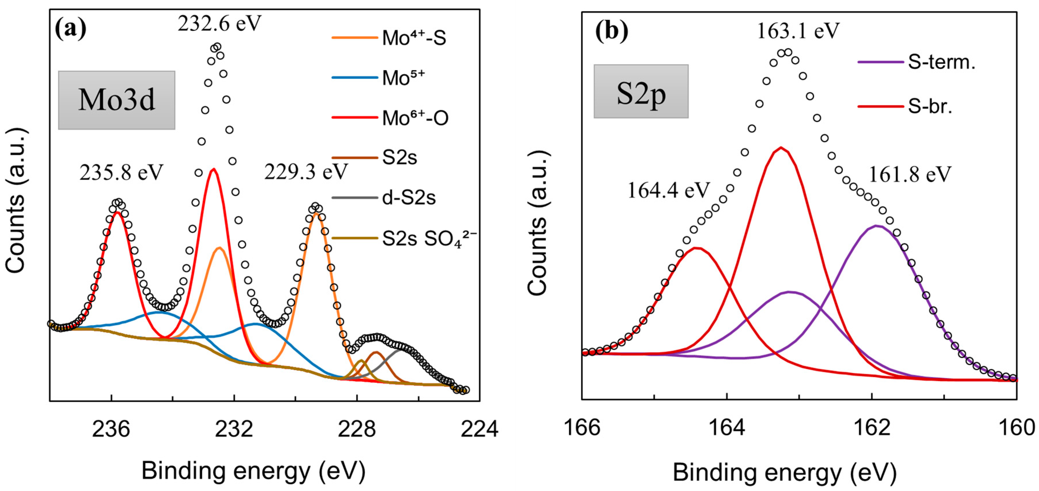 Coatings 13 00673 g005a Coatings 13 00673 g005a