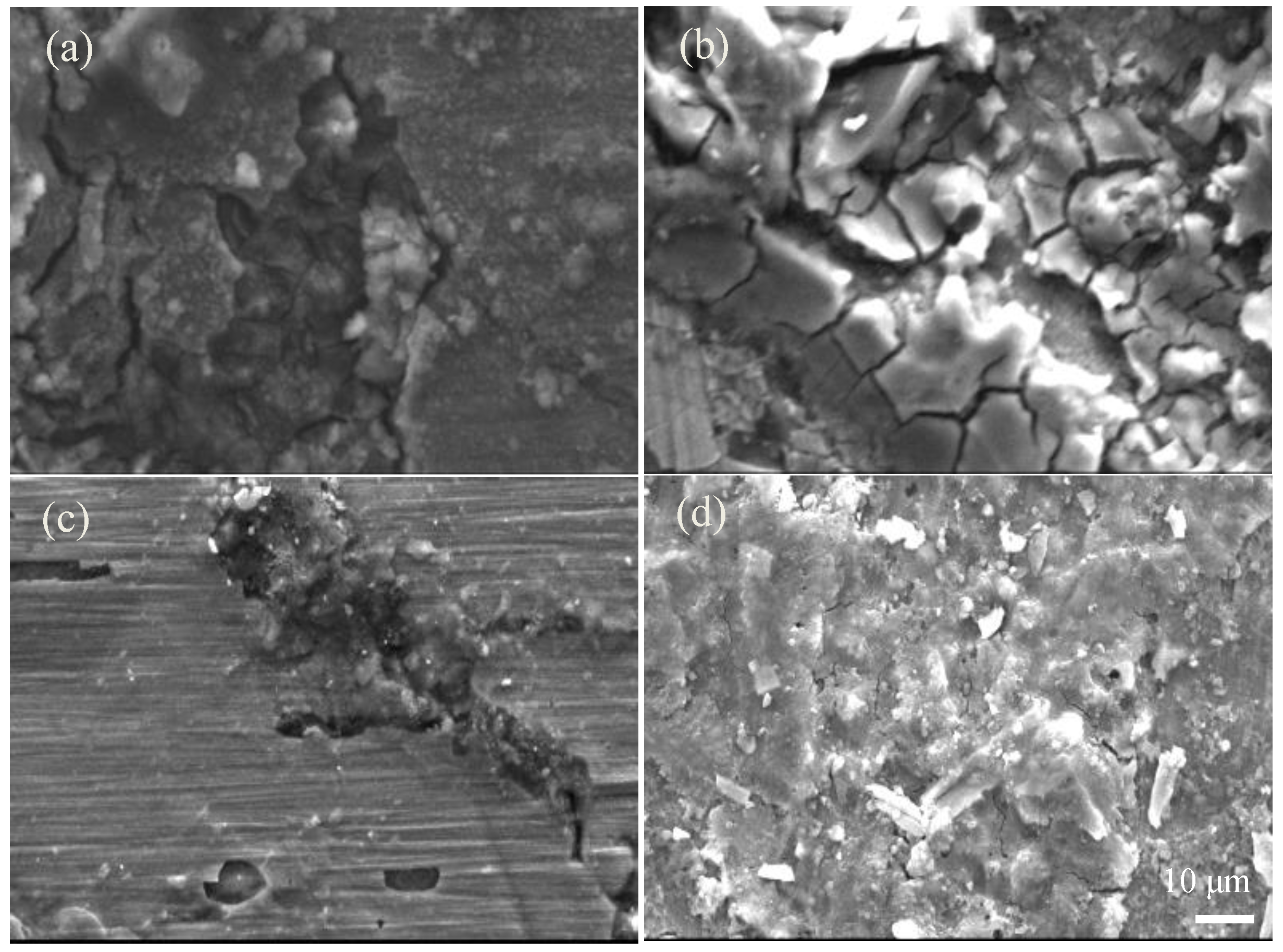 Coatings 13 00678 g006