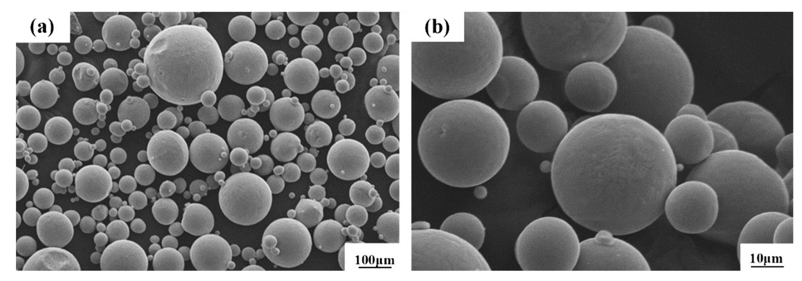 Coatings 13 00680 g001