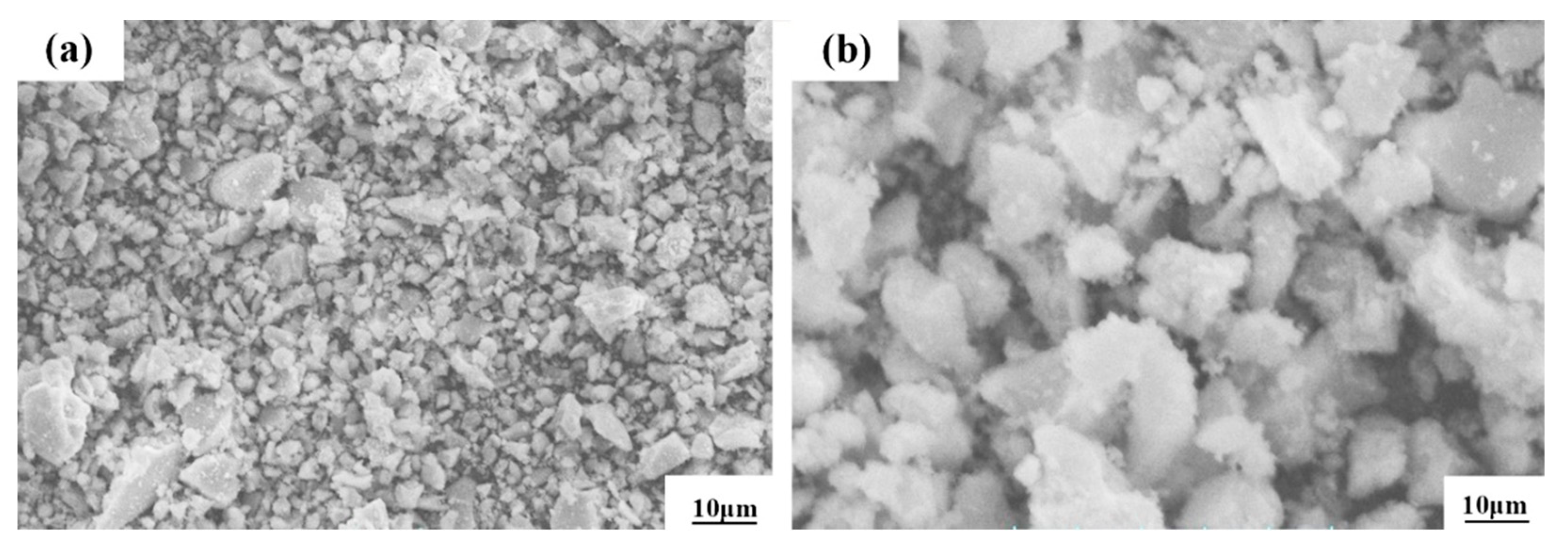 Coatings 13 00680 g002