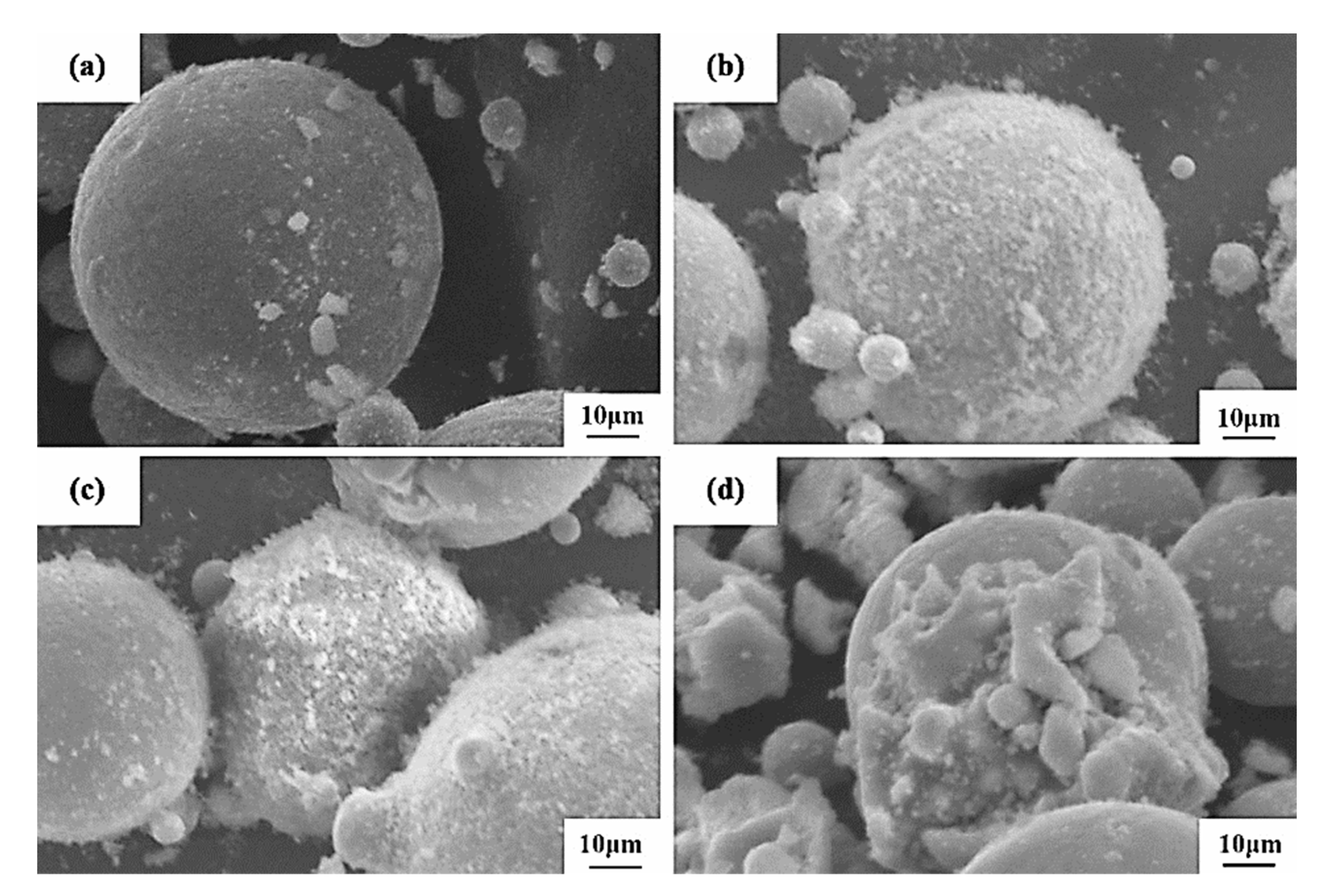 Coatings 13 00680 g019