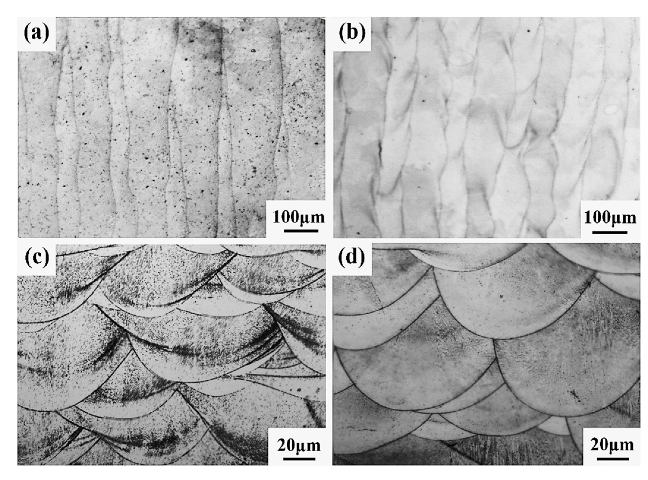 Coatings 13 00680 g022