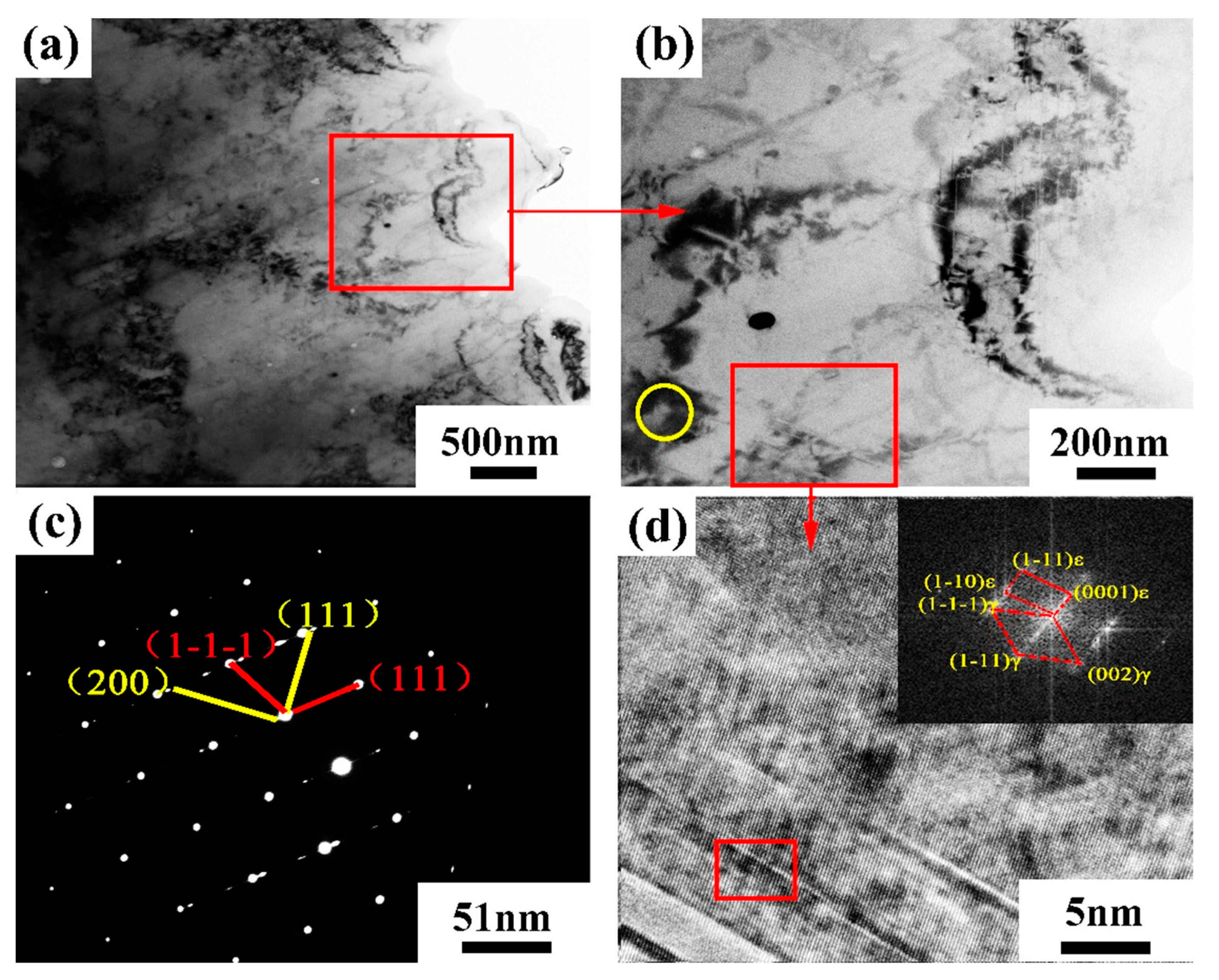 Coatings 13 00680 g024