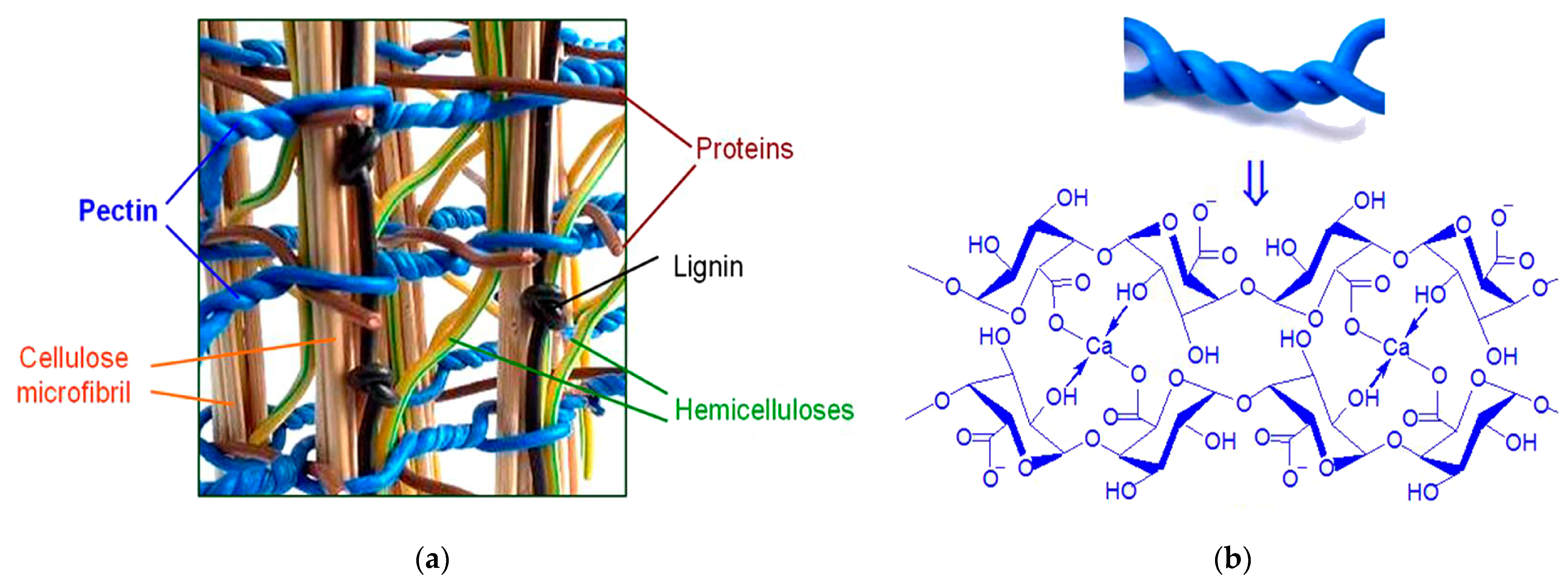 Coatings 13 00684 g001 Coatings 13 00684 g001