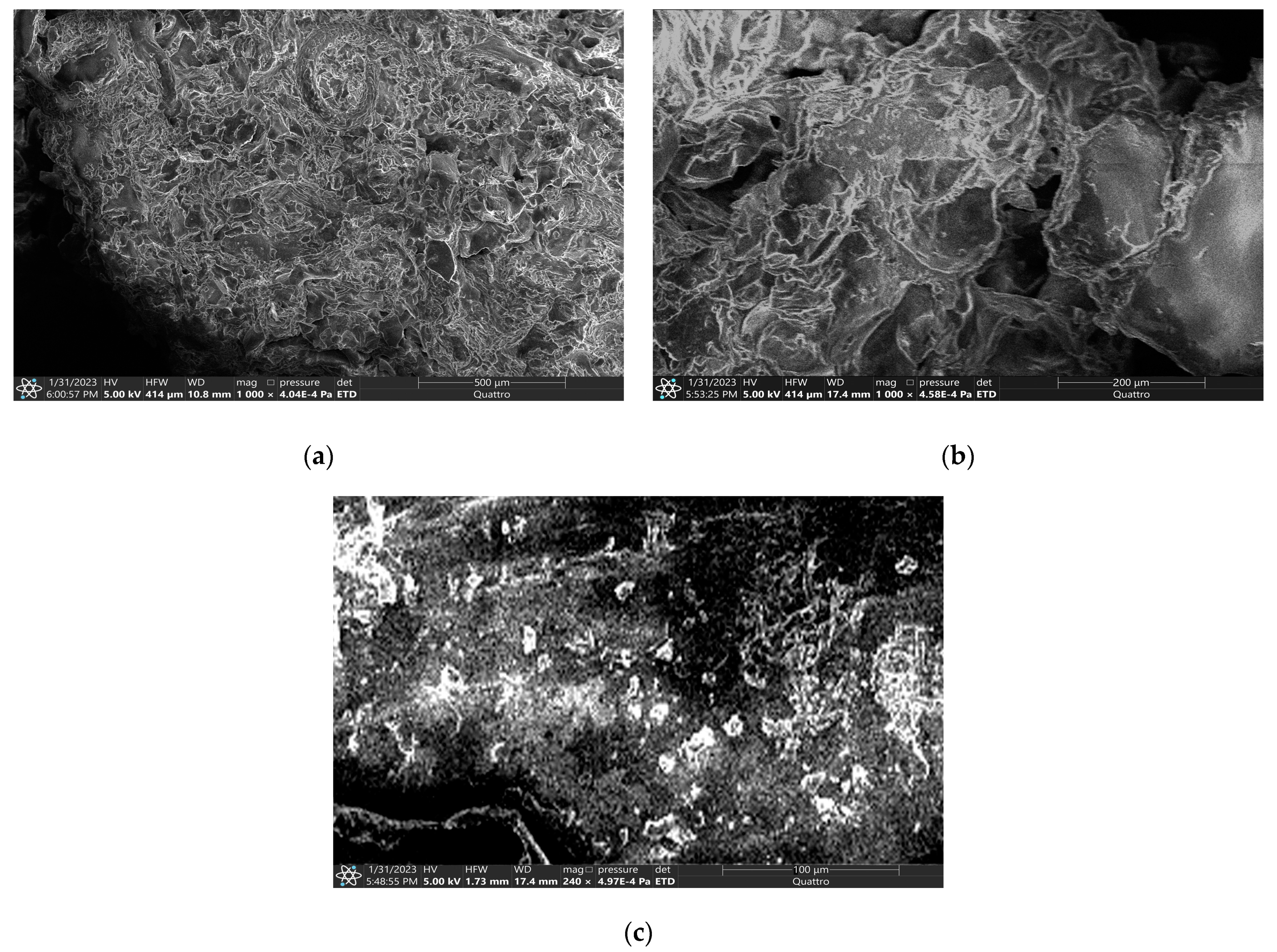 Coatings 13 00684 g003 Coatings 13 00684 g003