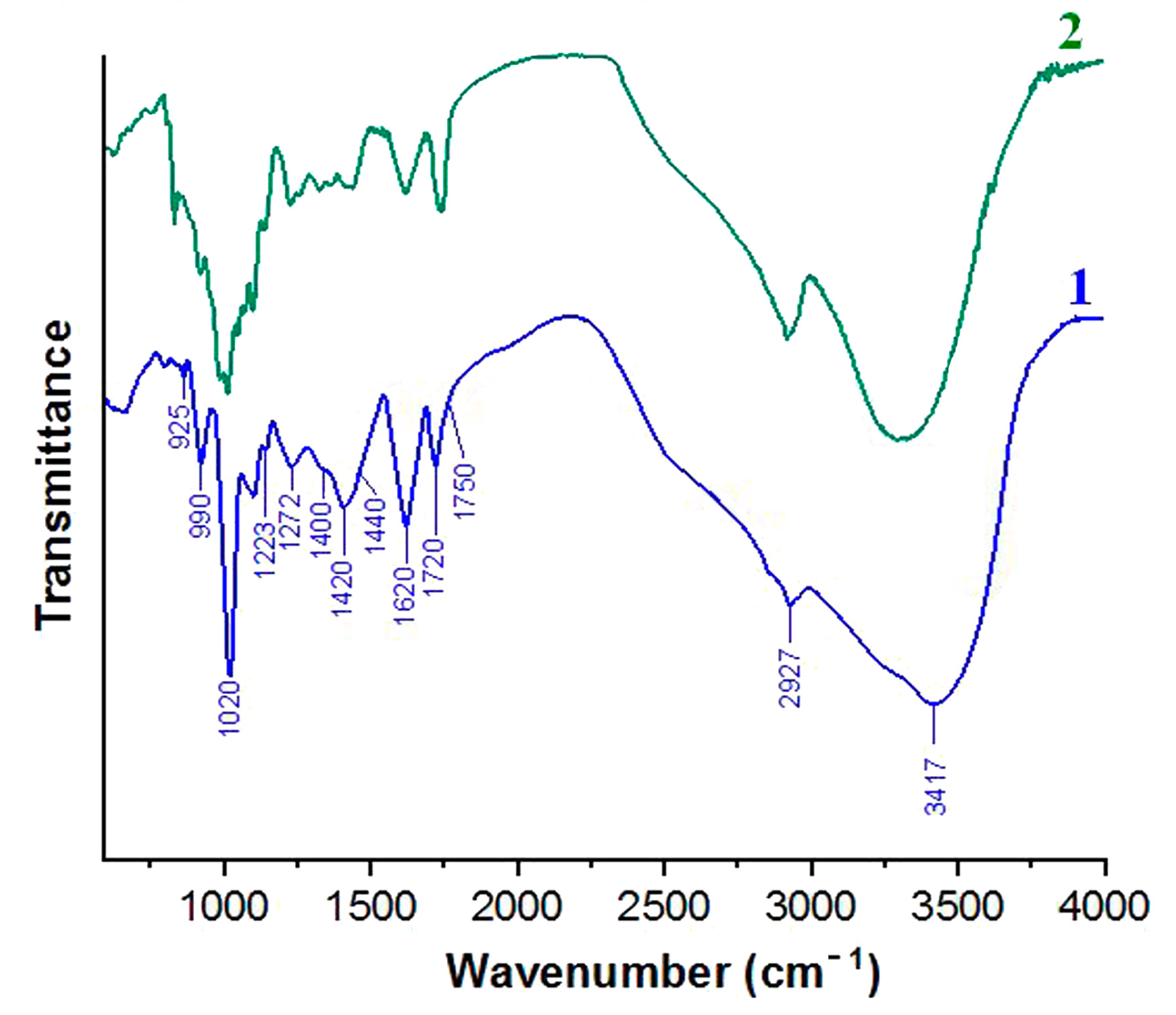 Coatings 13 00684 g004 Coatings 13 00684 g004