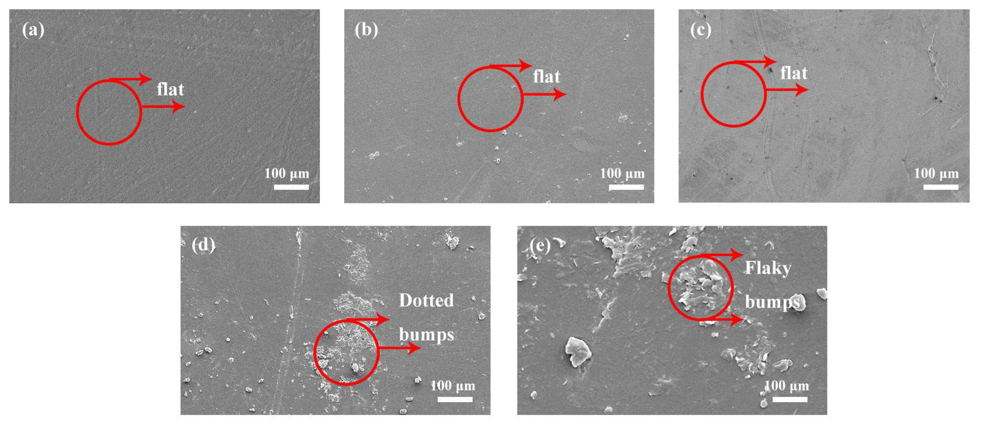 Coatings 13 00685 g006