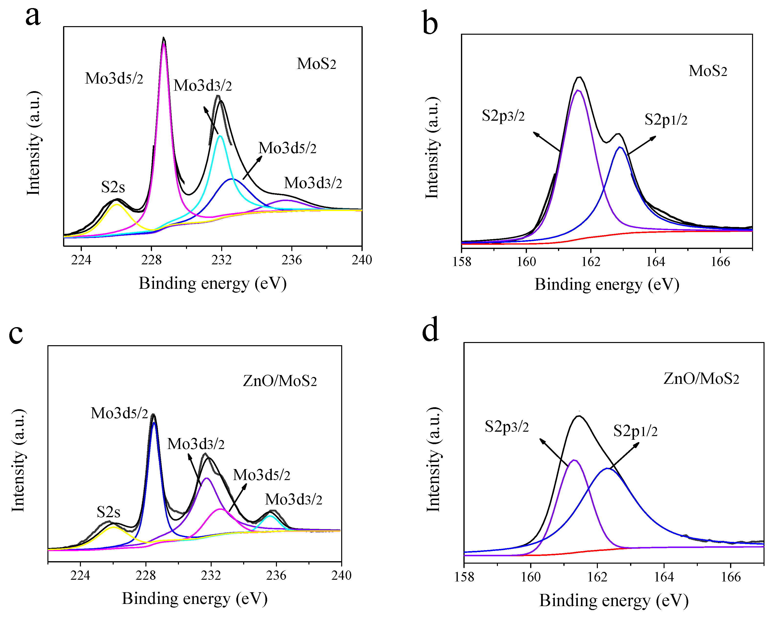 Coatings 13 00686 g005a