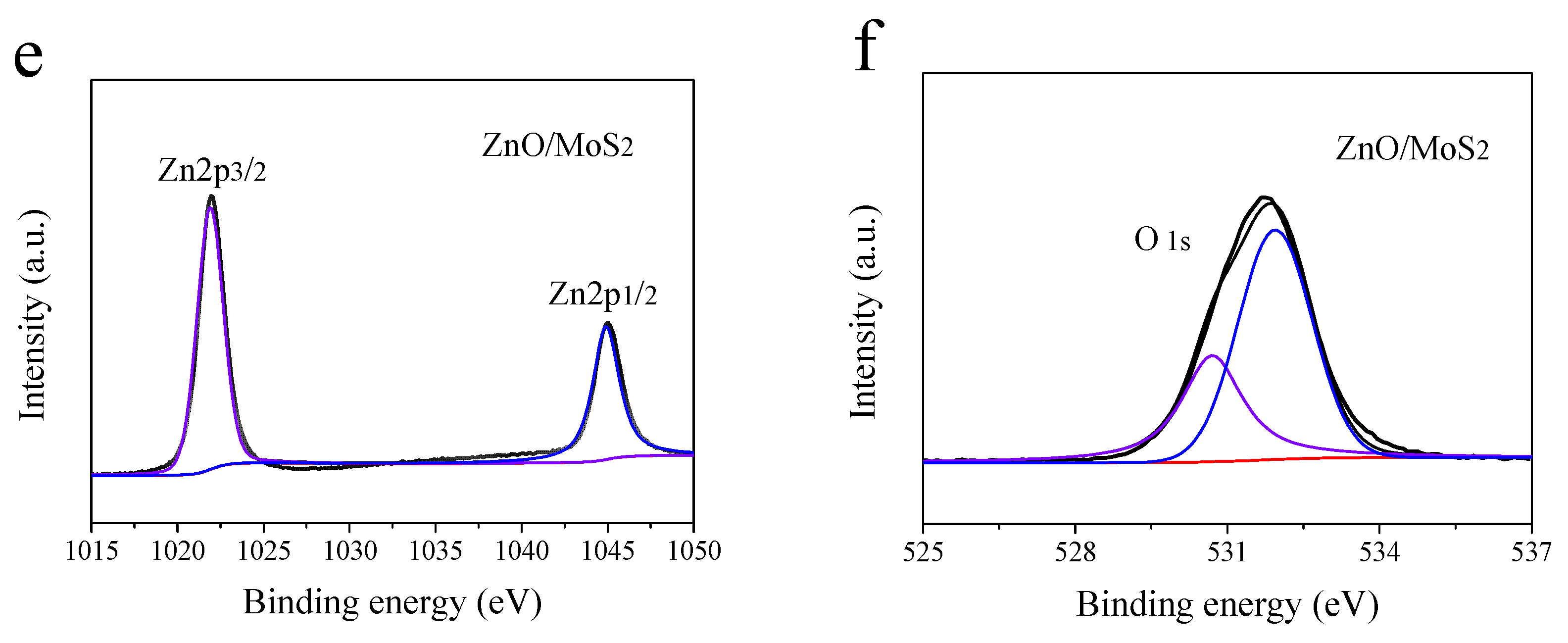 Coatings 13 00686 g005b