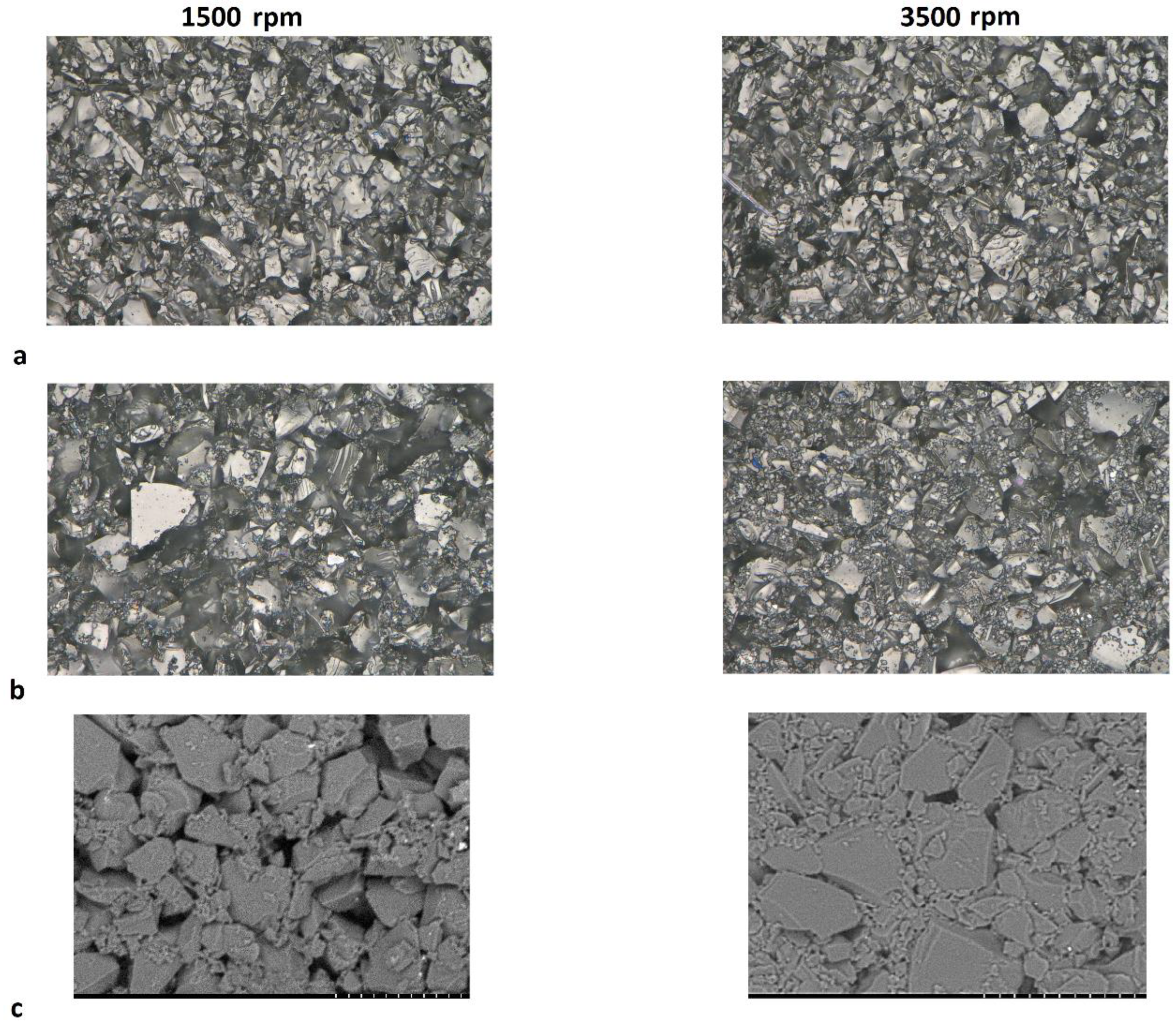 Coatings 13 00689 g006