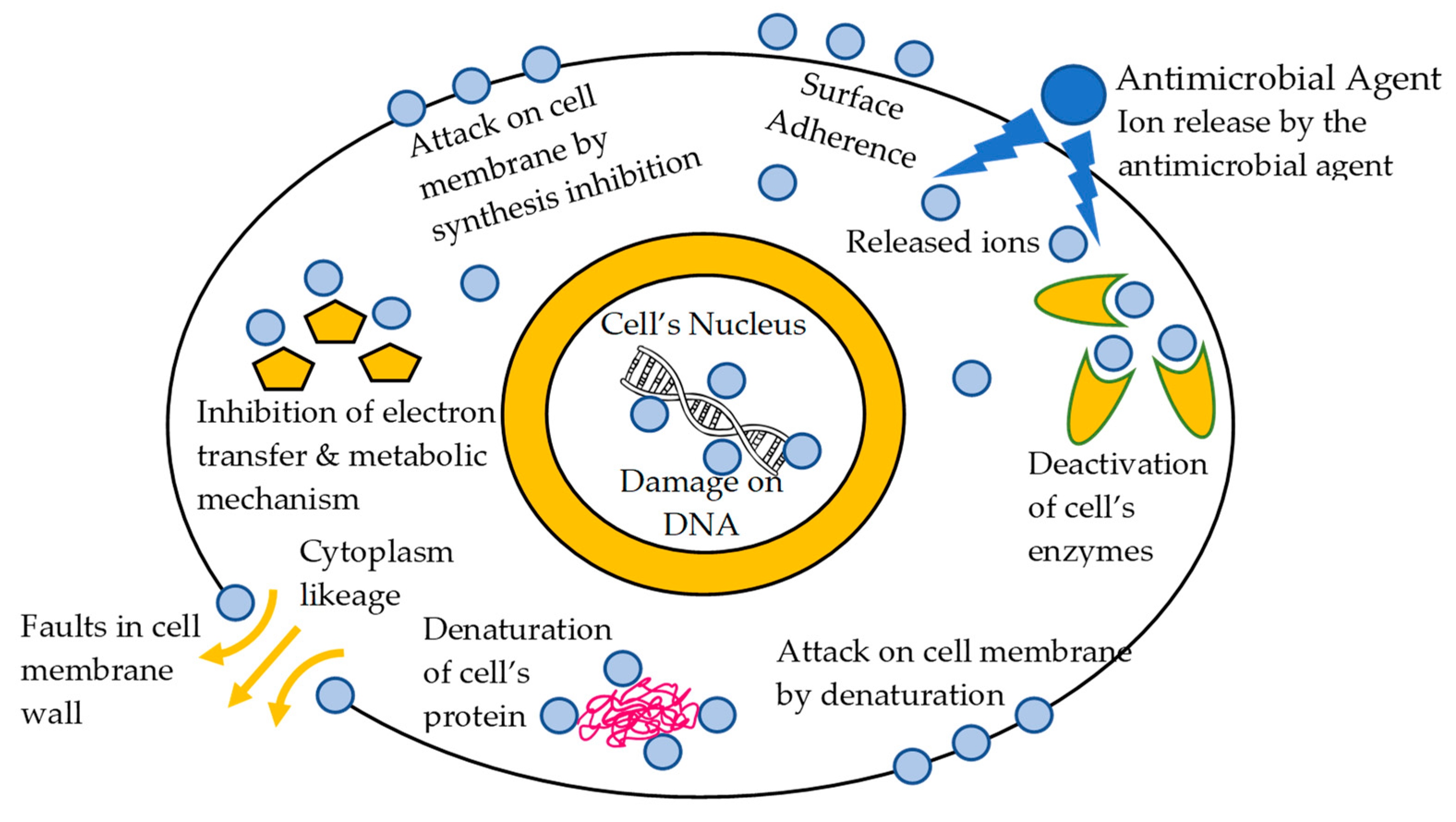 Coatings 13 00693 sch001