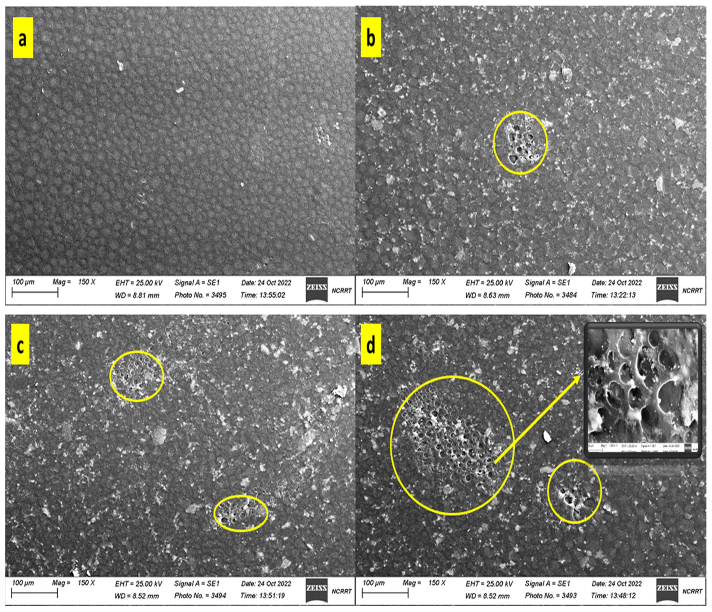Coatings 13 00699 g001 Coatings 13 00699 g001