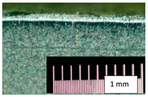 Coatings 13 00701 i042