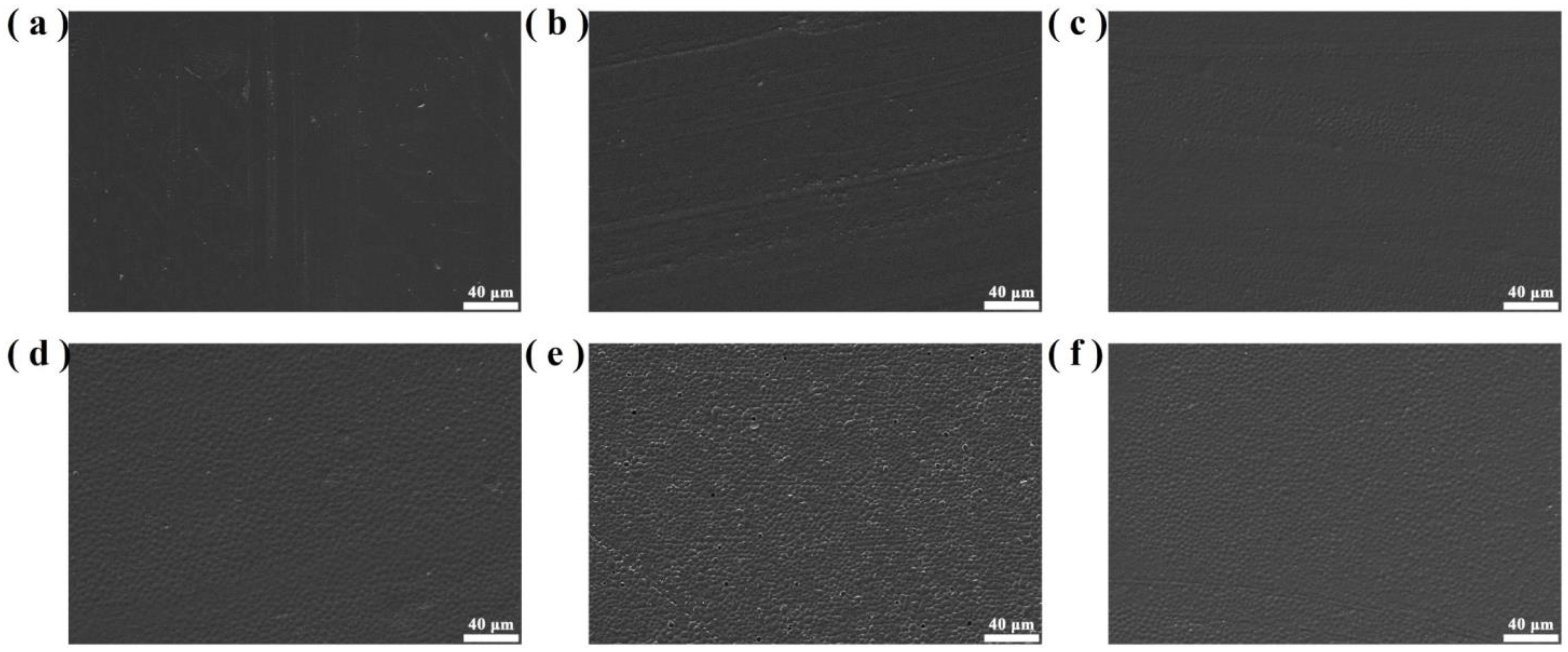 Coatings 13 00703 g010
