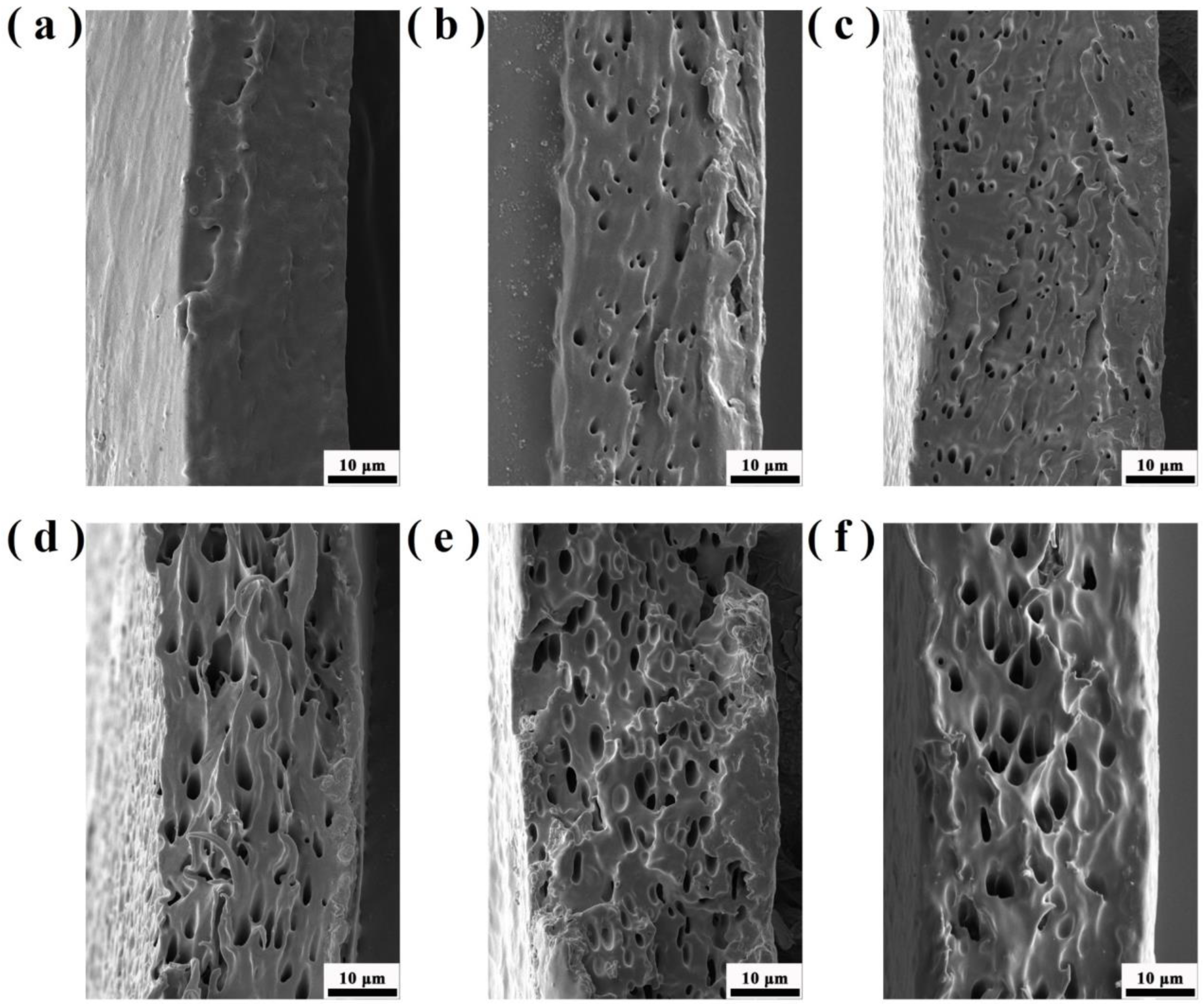 Coatings 13 00703 g011