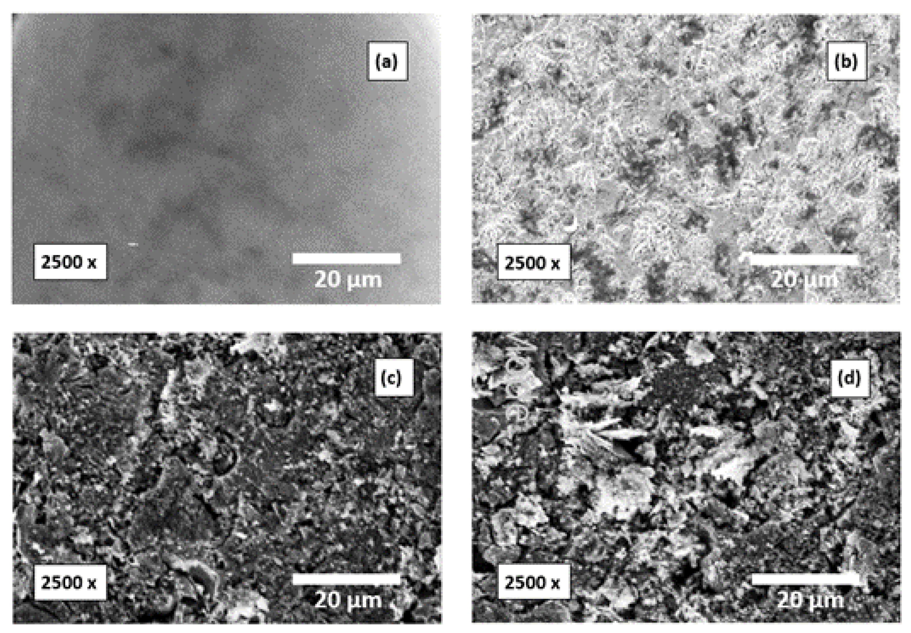 Coatings 13 00704 g015