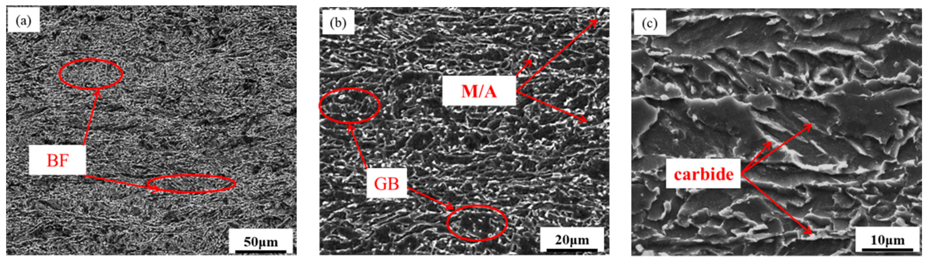 Coatings 13 00706 g001