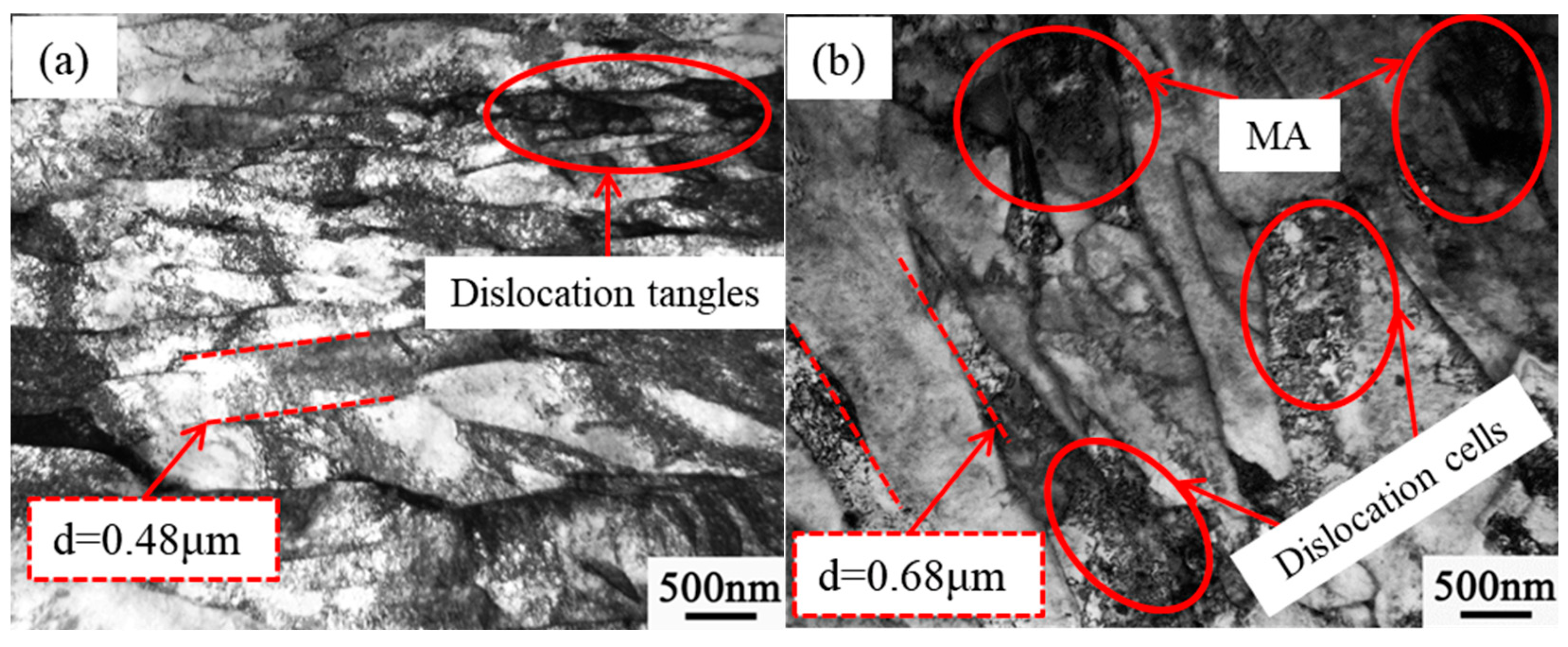 Coatings 13 00706 g003a