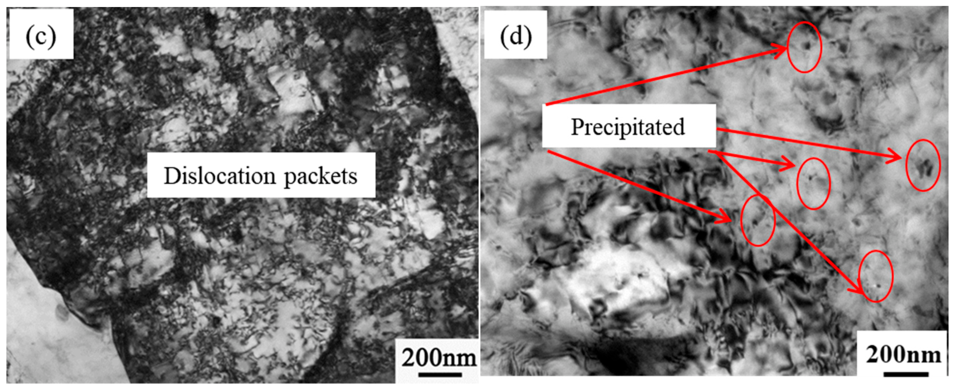 Coatings 13 00706 g003b