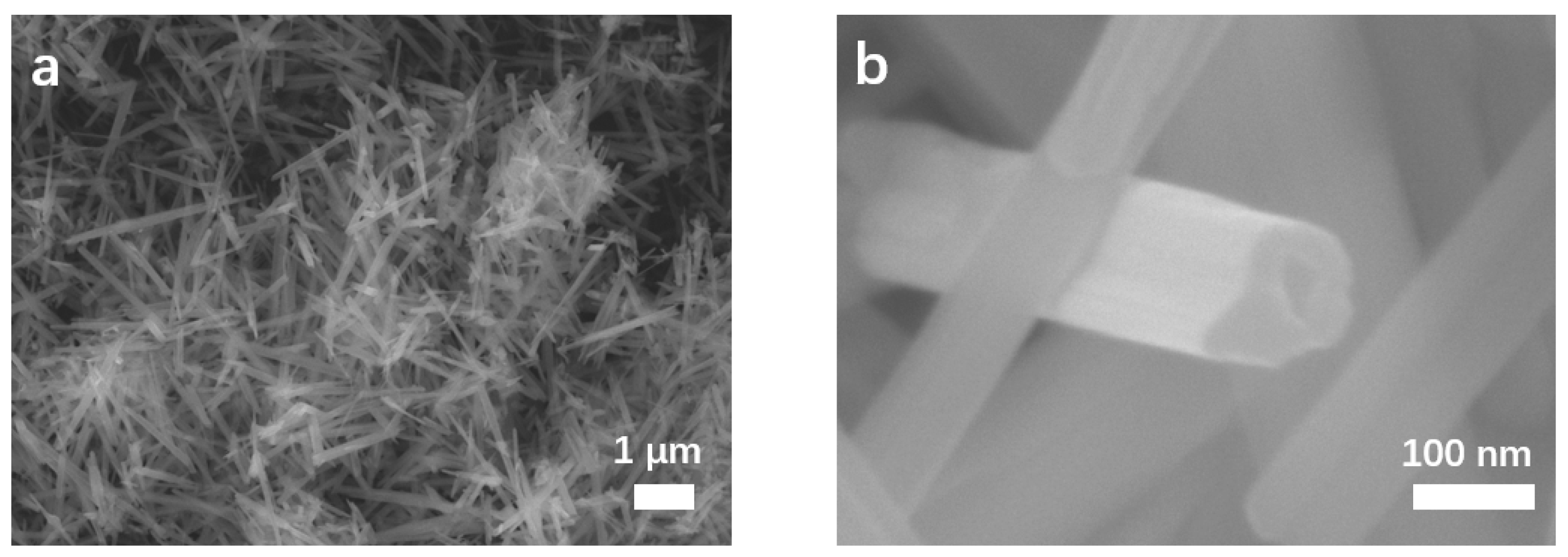 Coatings 13 00707 g002
