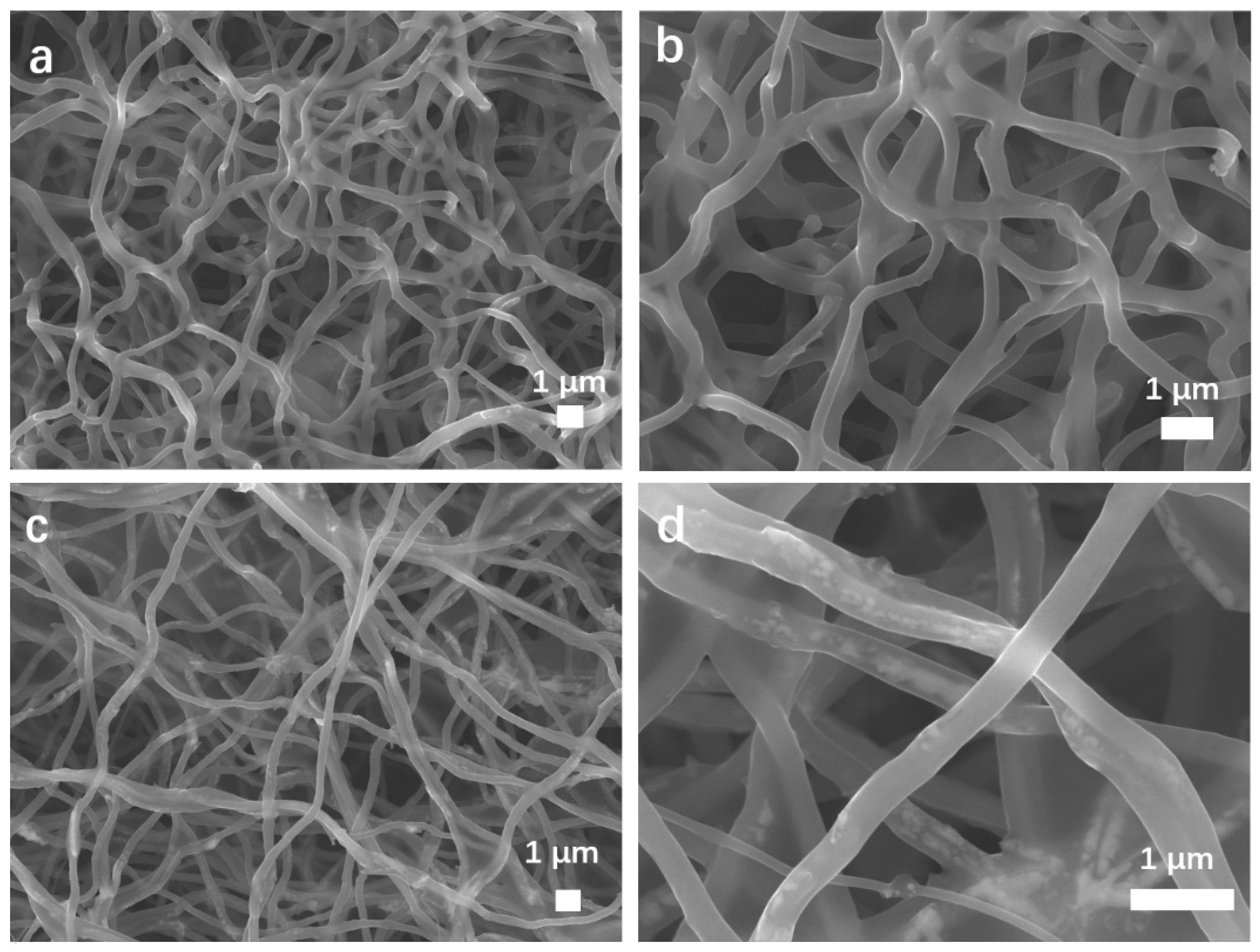 Coatings 13 00707 g003