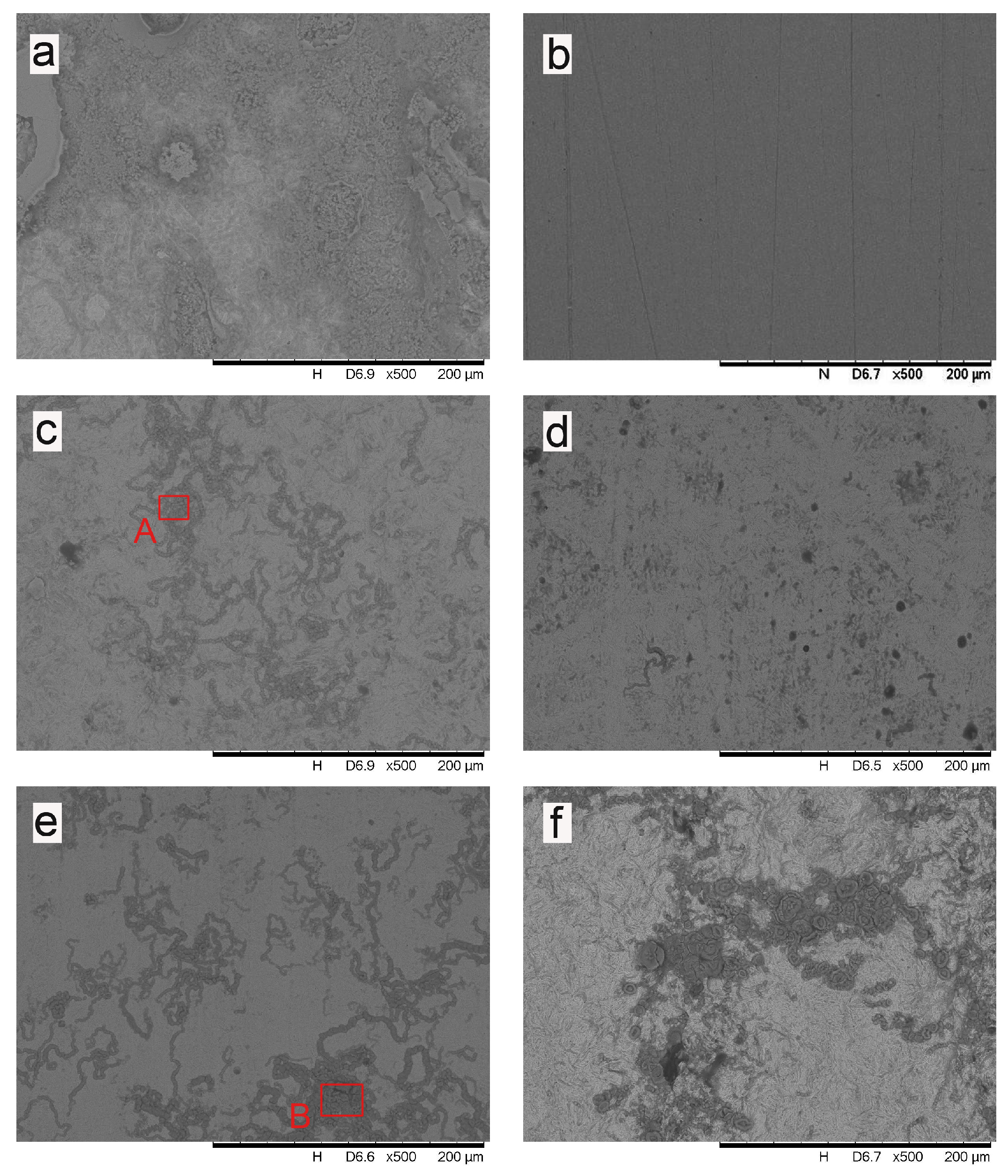 Coatings 13 00710 g006