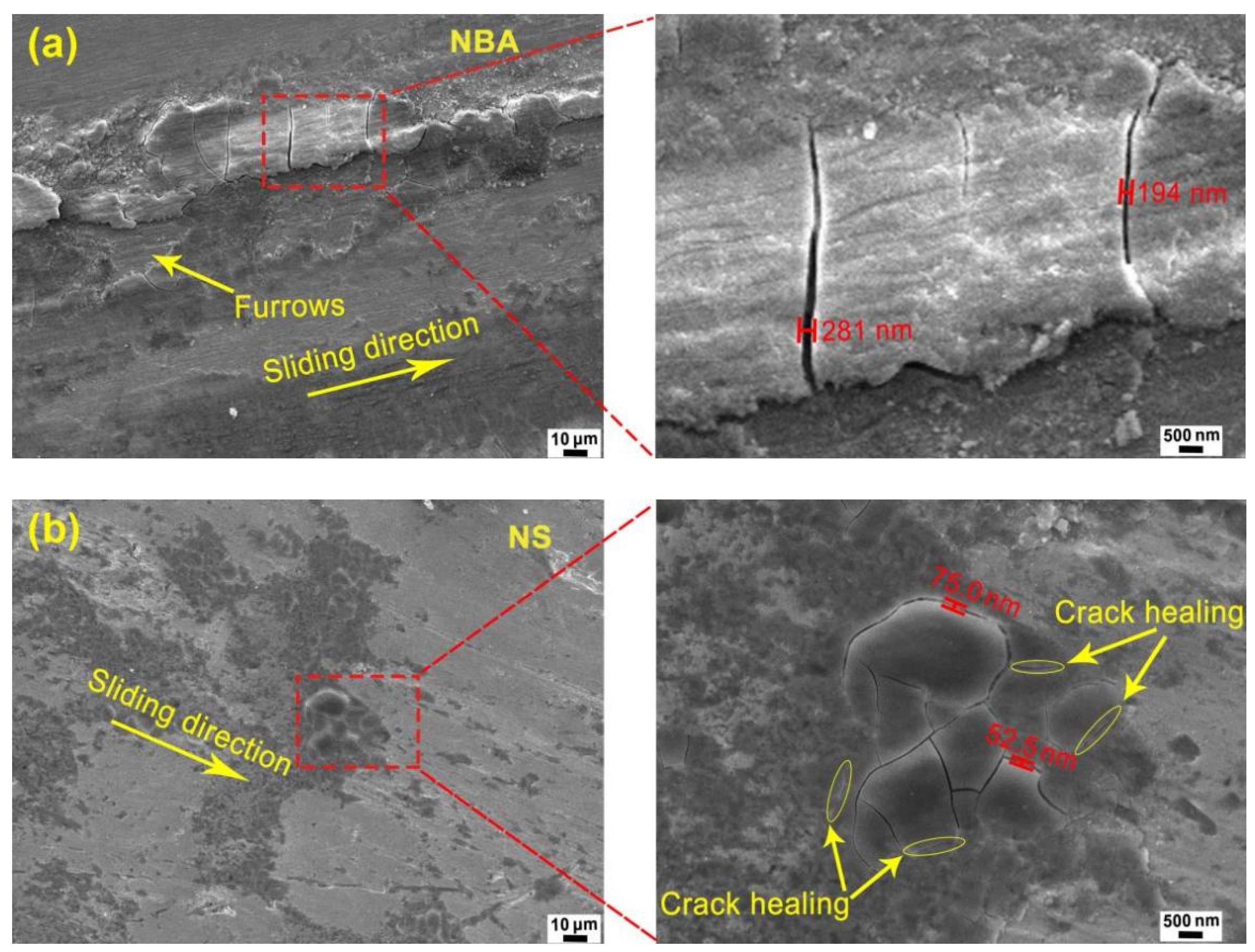 Coatings 13 00711 g006a