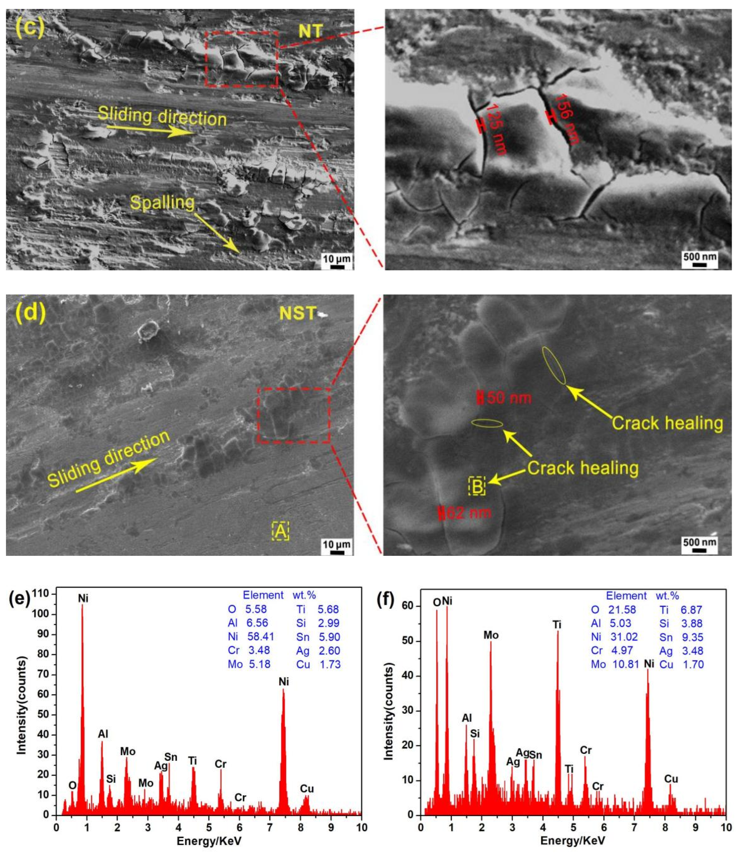 Coatings 13 00711 g006b