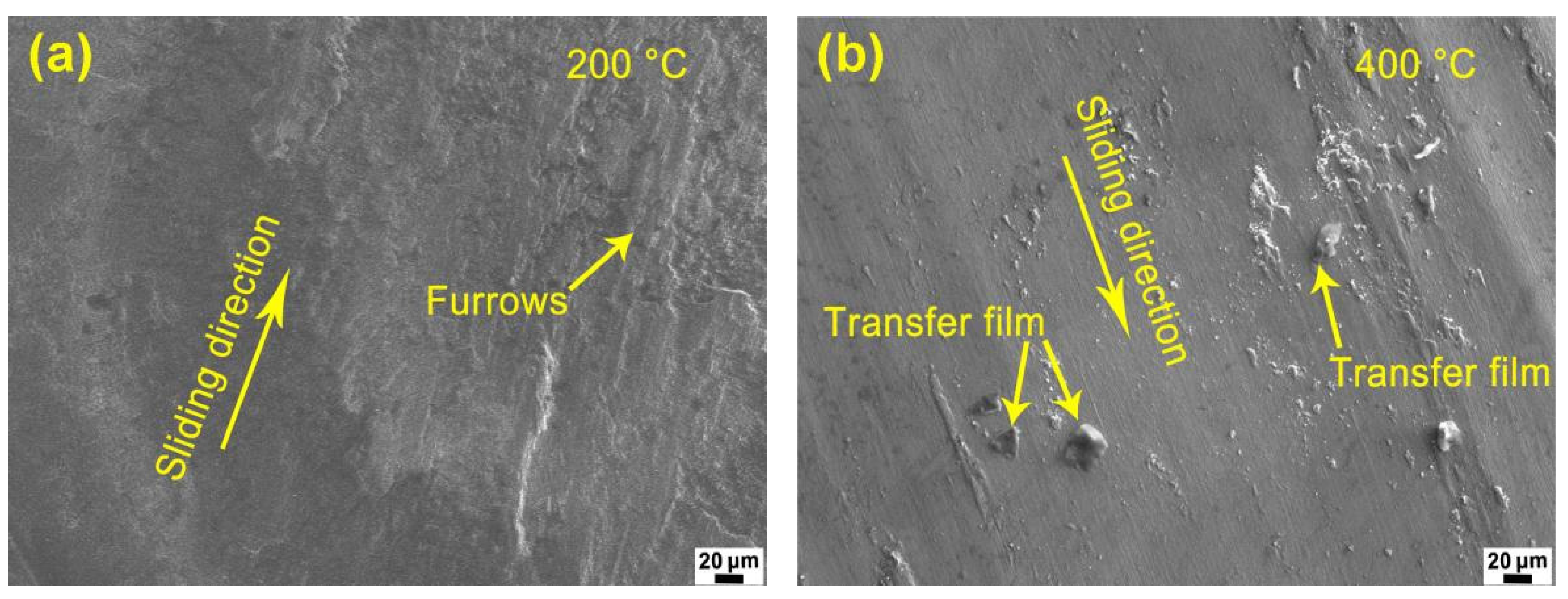 Coatings 13 00711 g009a